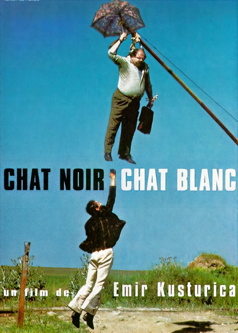 黑猫白猫的海报-正式海报