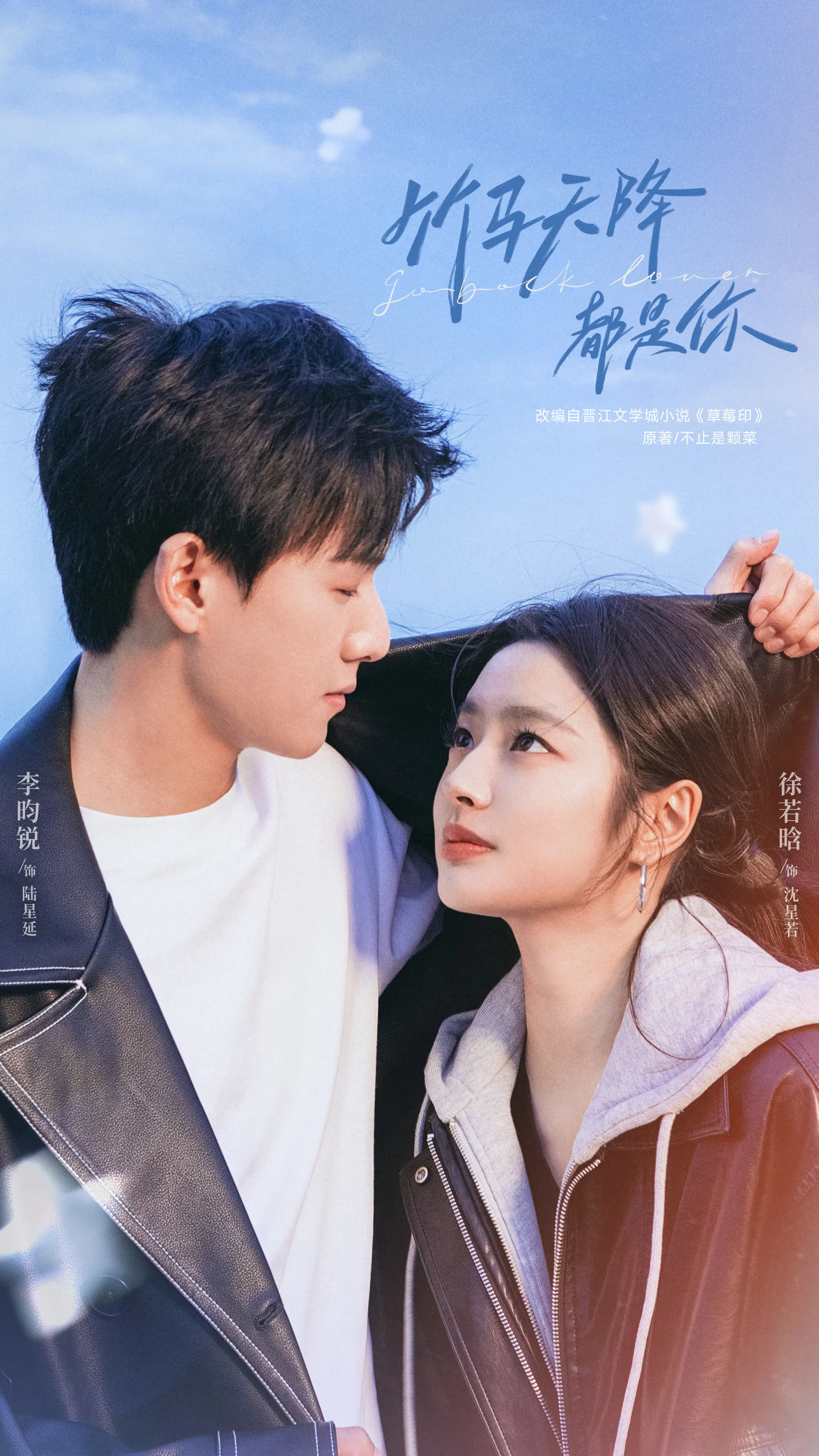 再见，怦然心动的海报-正式海报