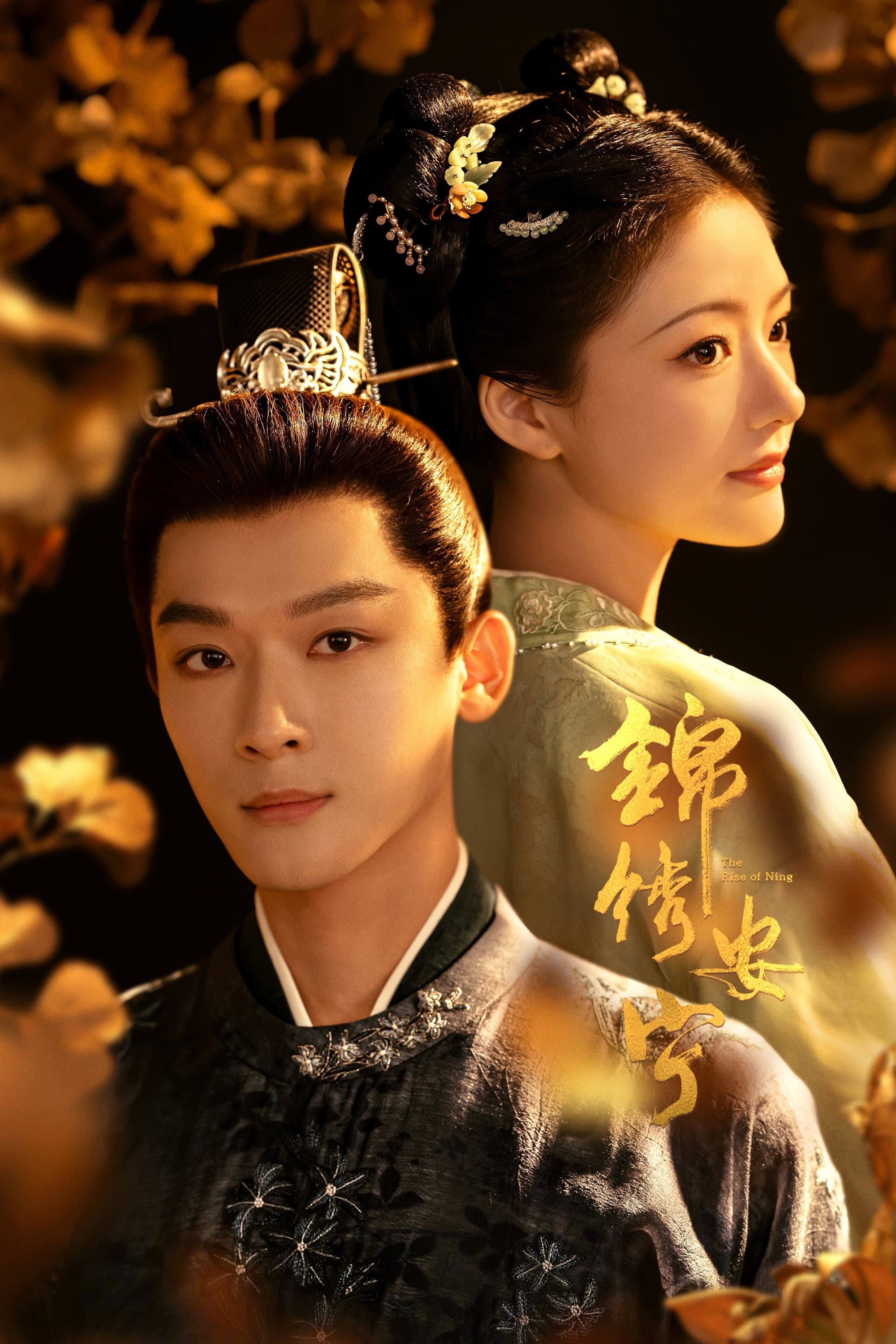 锦绣安宁的海报-正式海报 中国大陆