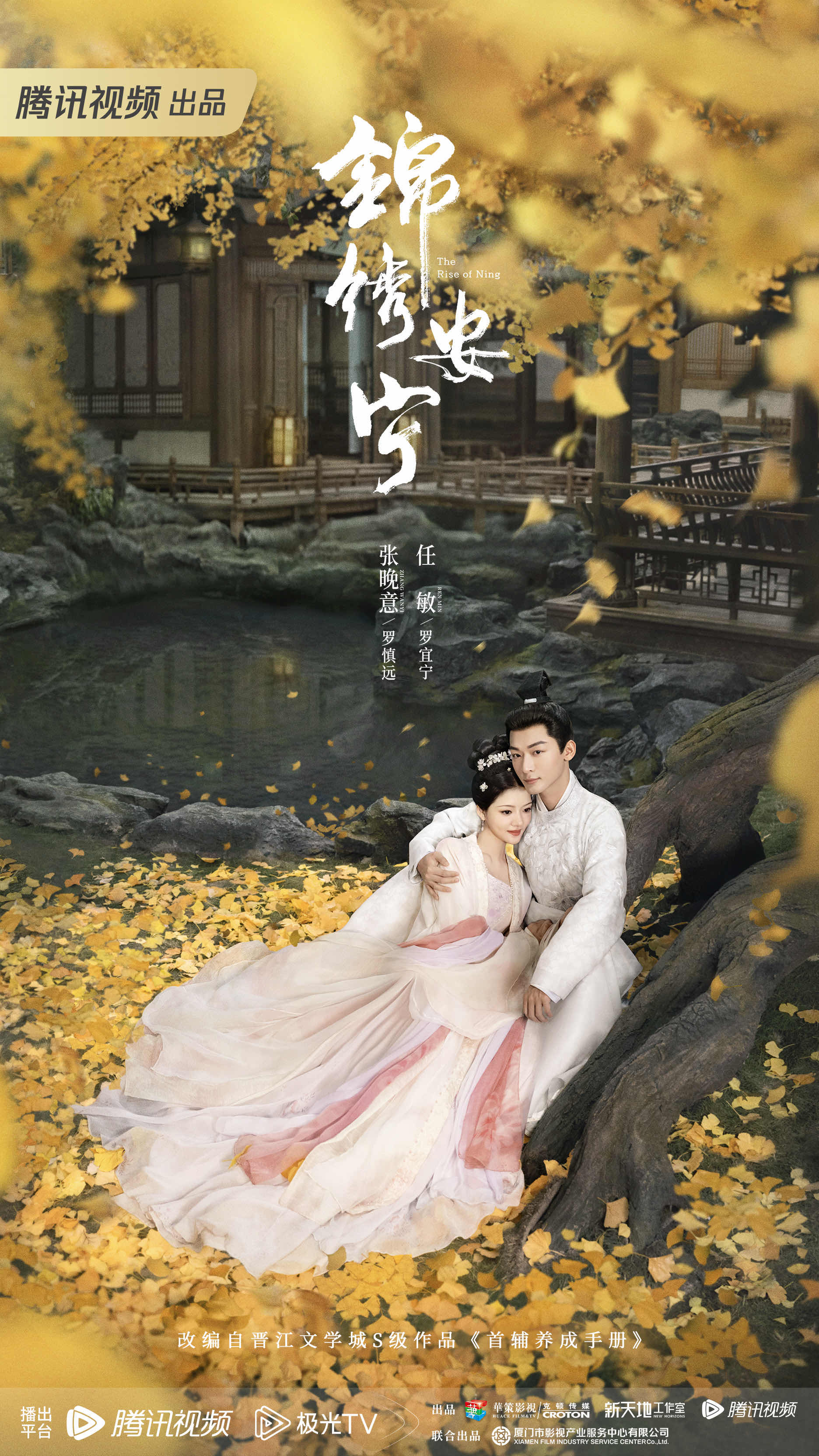 锦绣安宁的海报-预告海报 中国大陆