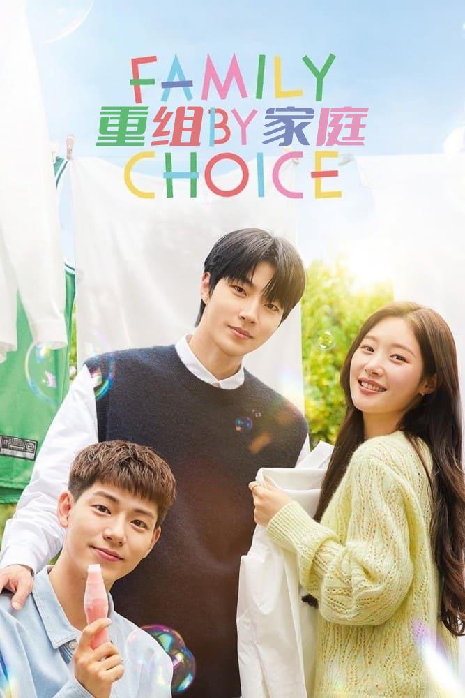 重组家庭的海报-正式海报