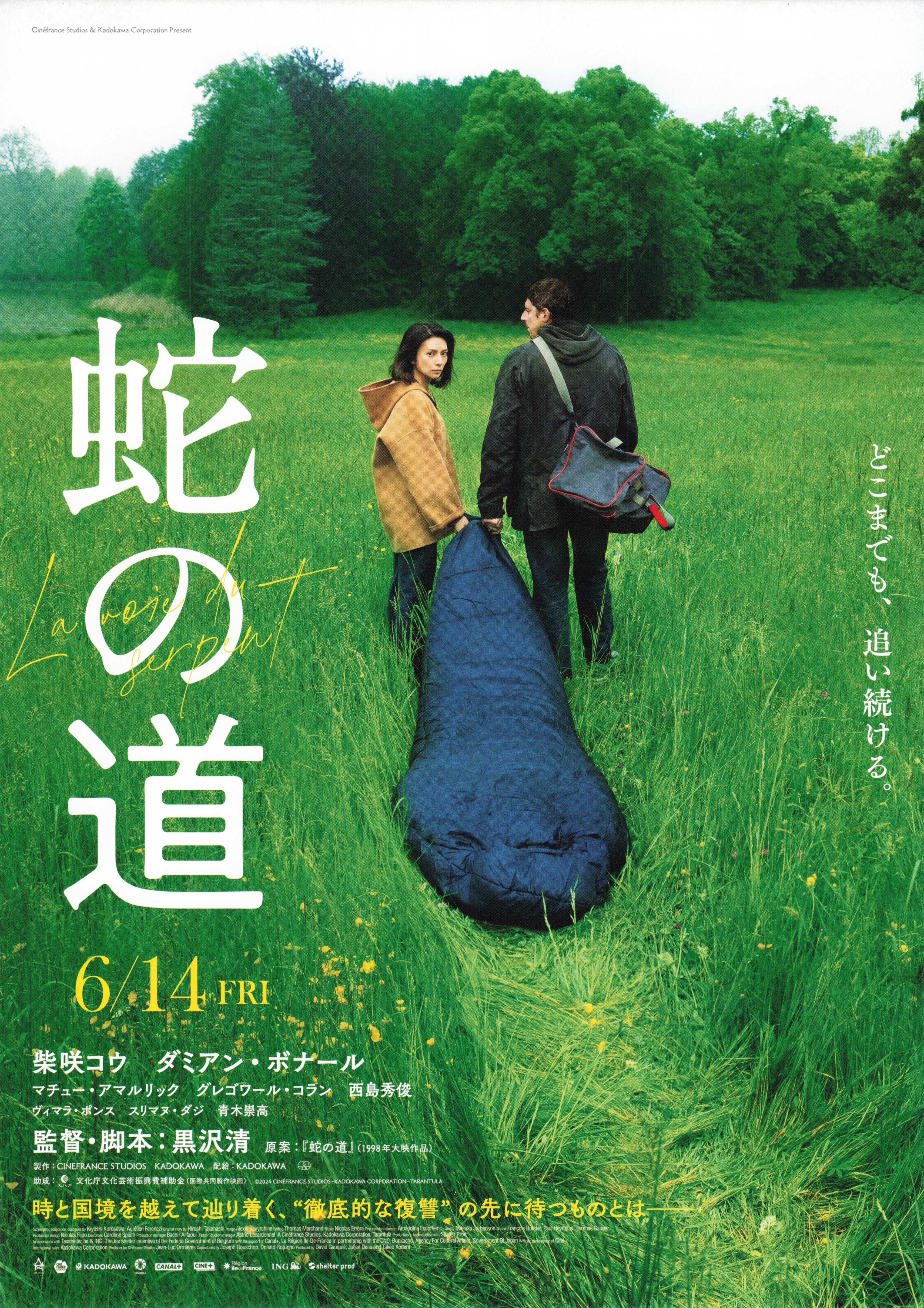 蛇之道的海报-正式海报 日本