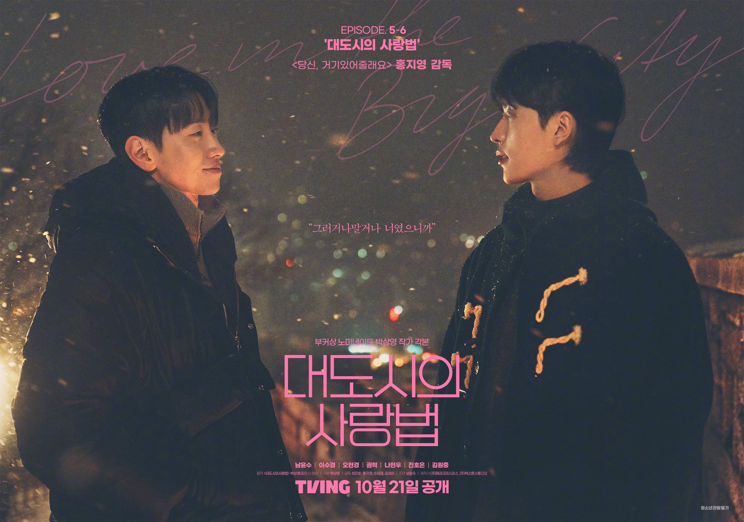 大都市爱情法的海报-正式海报