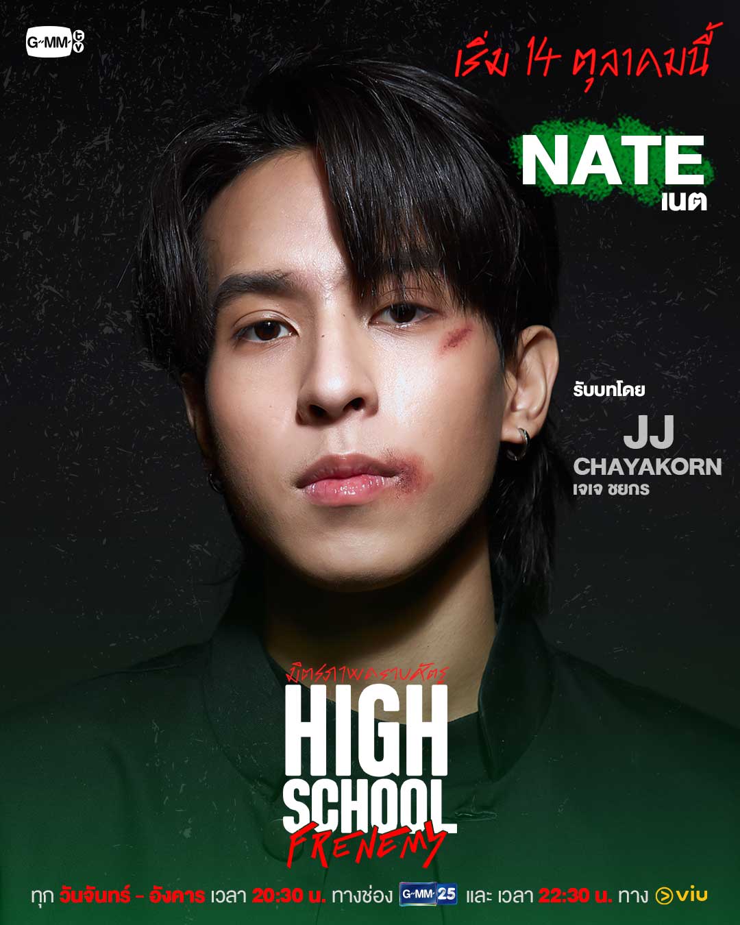 泰版学校2013的海报-角色海报 泰国