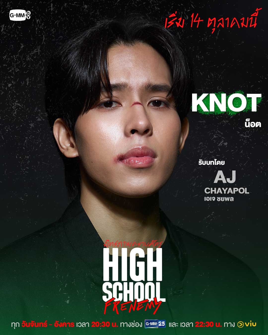 泰版学校2013的海报-角色海报 泰国