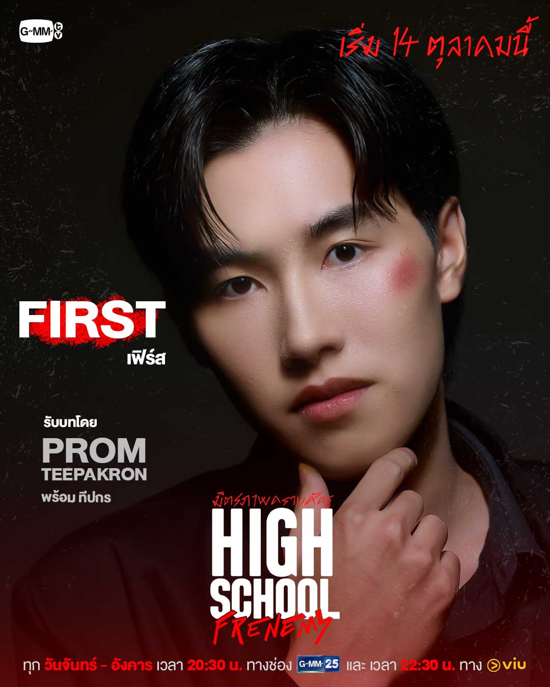 泰版学校2013的海报-角色海报 泰国