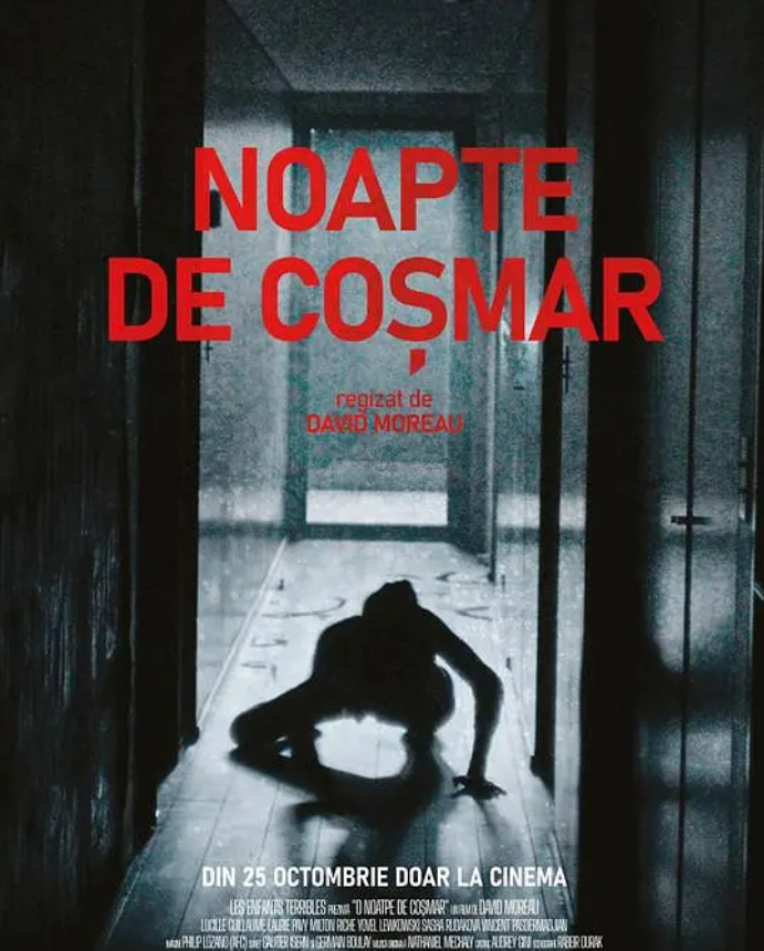 疯死的海报-其他海报 法国