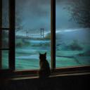 天启Z：完结的起点