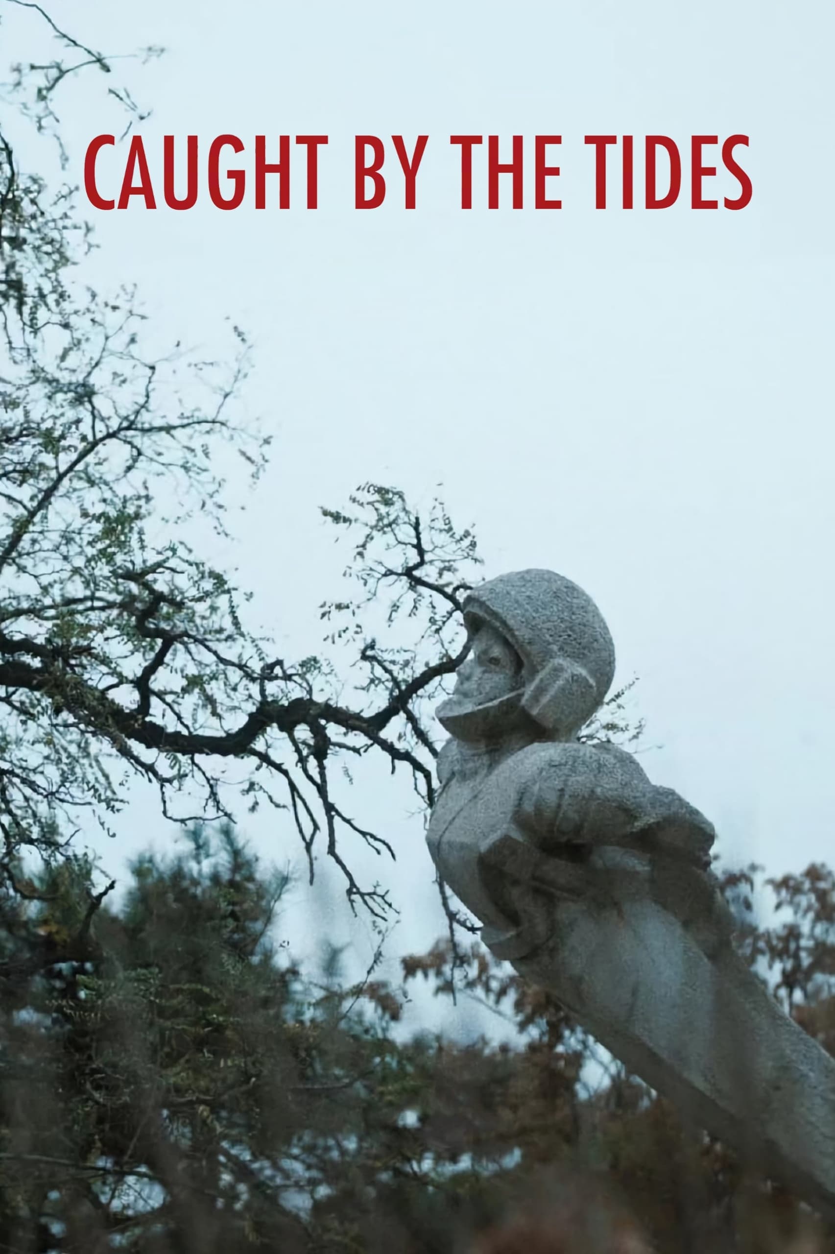 风流一代的海报-其他海报 美国