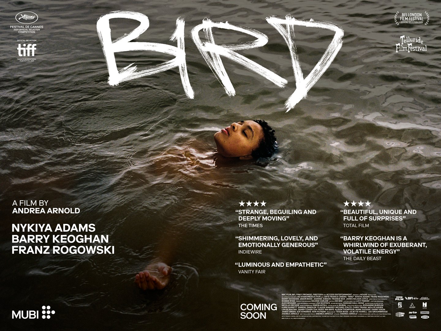 鸟的海报-预告海报