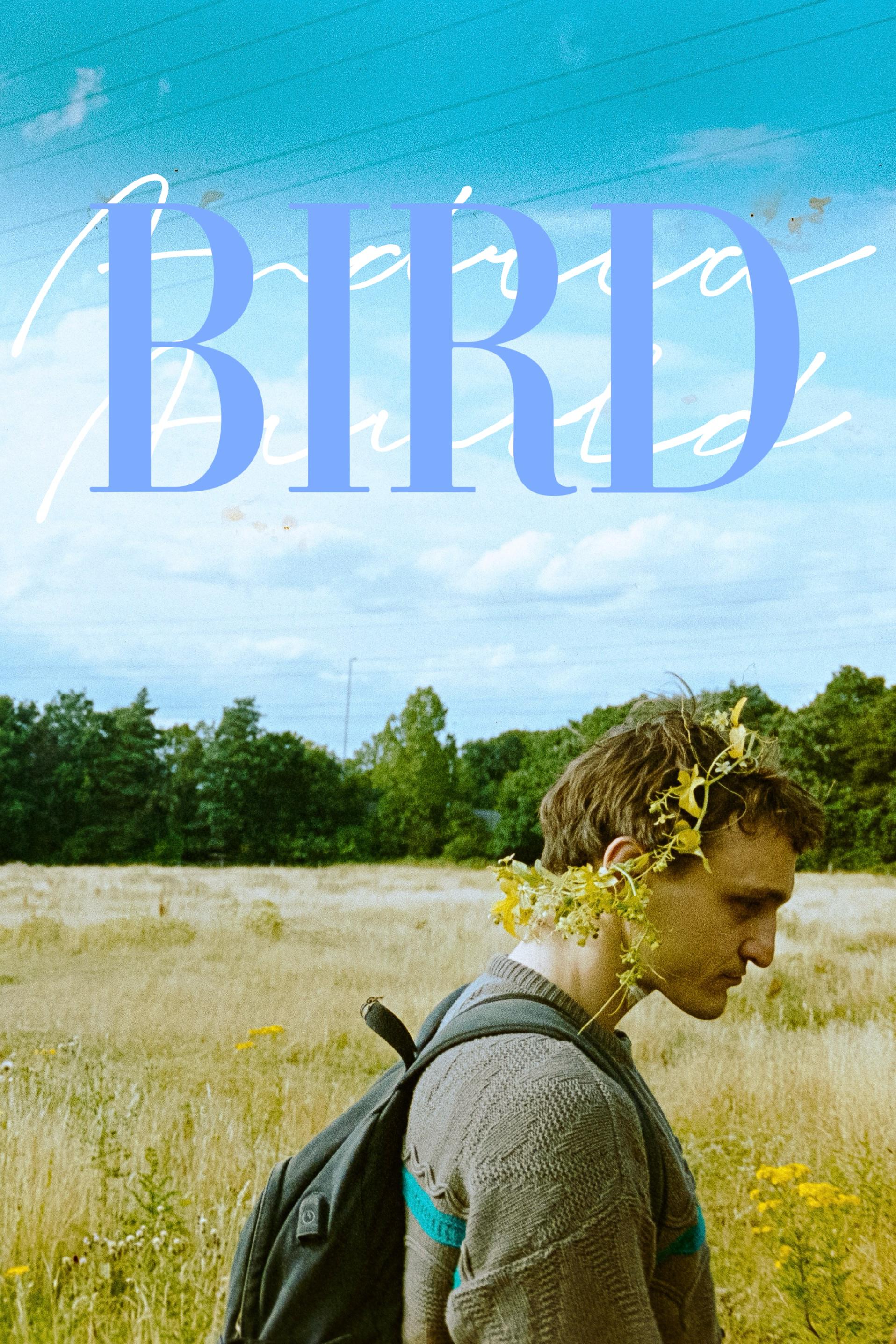 鸟的海报-其他海报