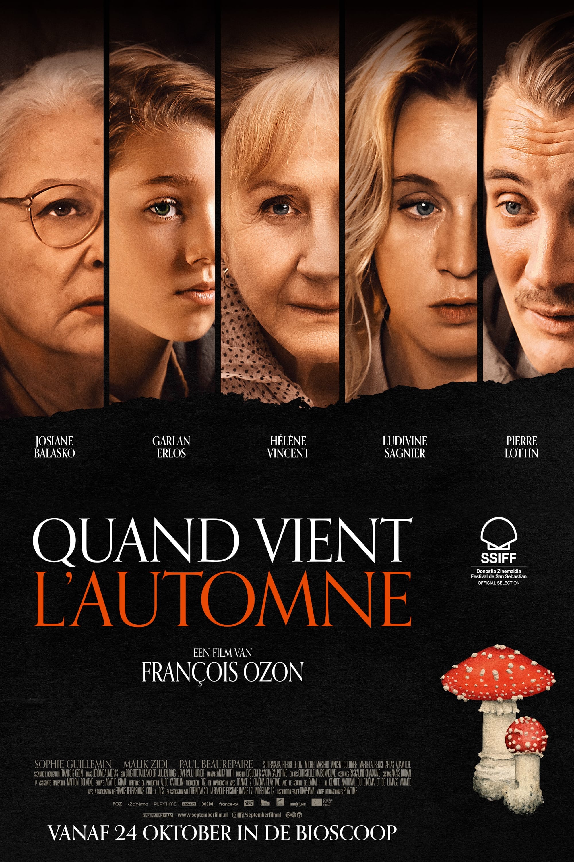 秋日何时来的海报-正式海报 荷兰