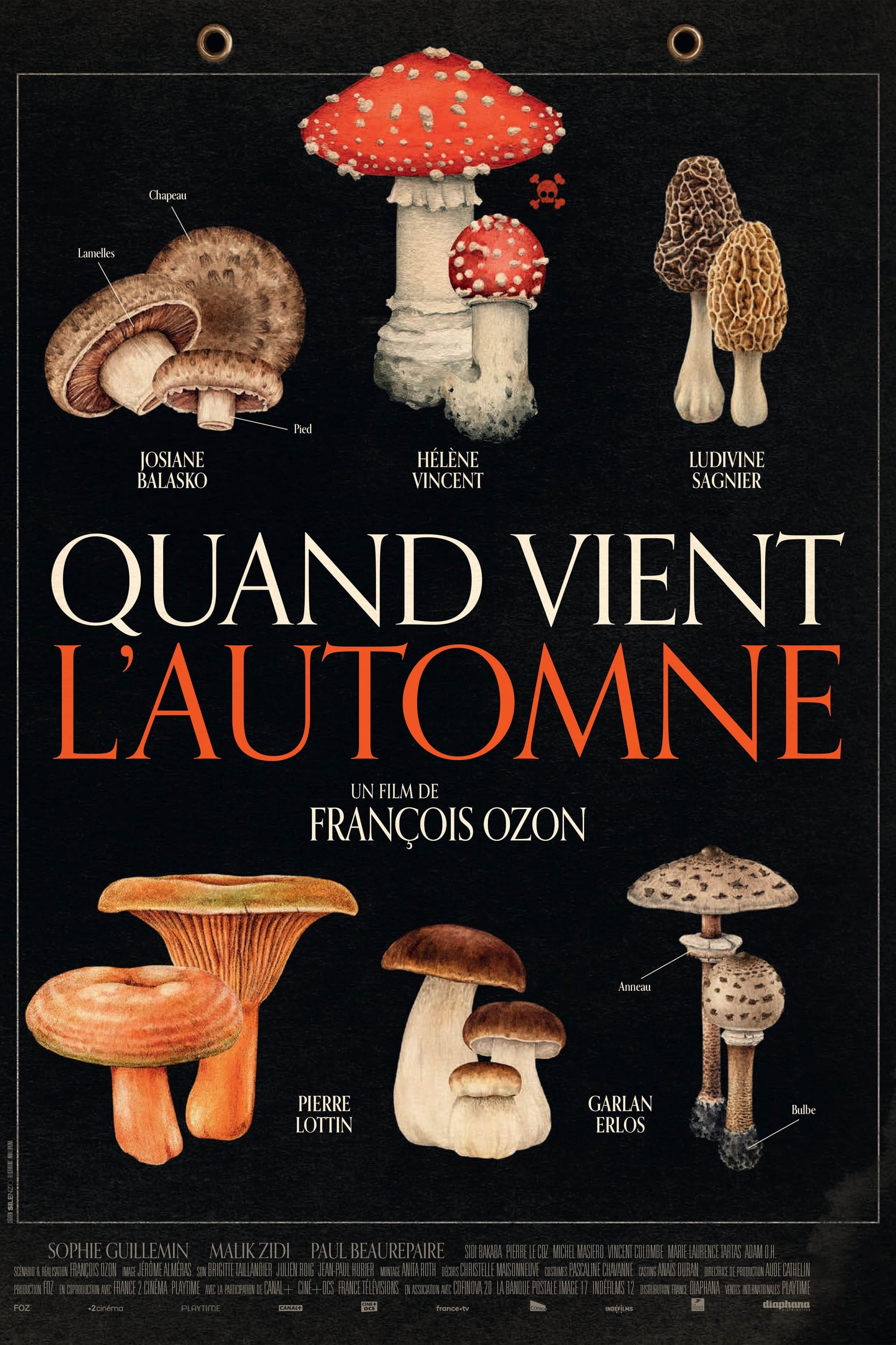 秋日何时来的海报-预告海报