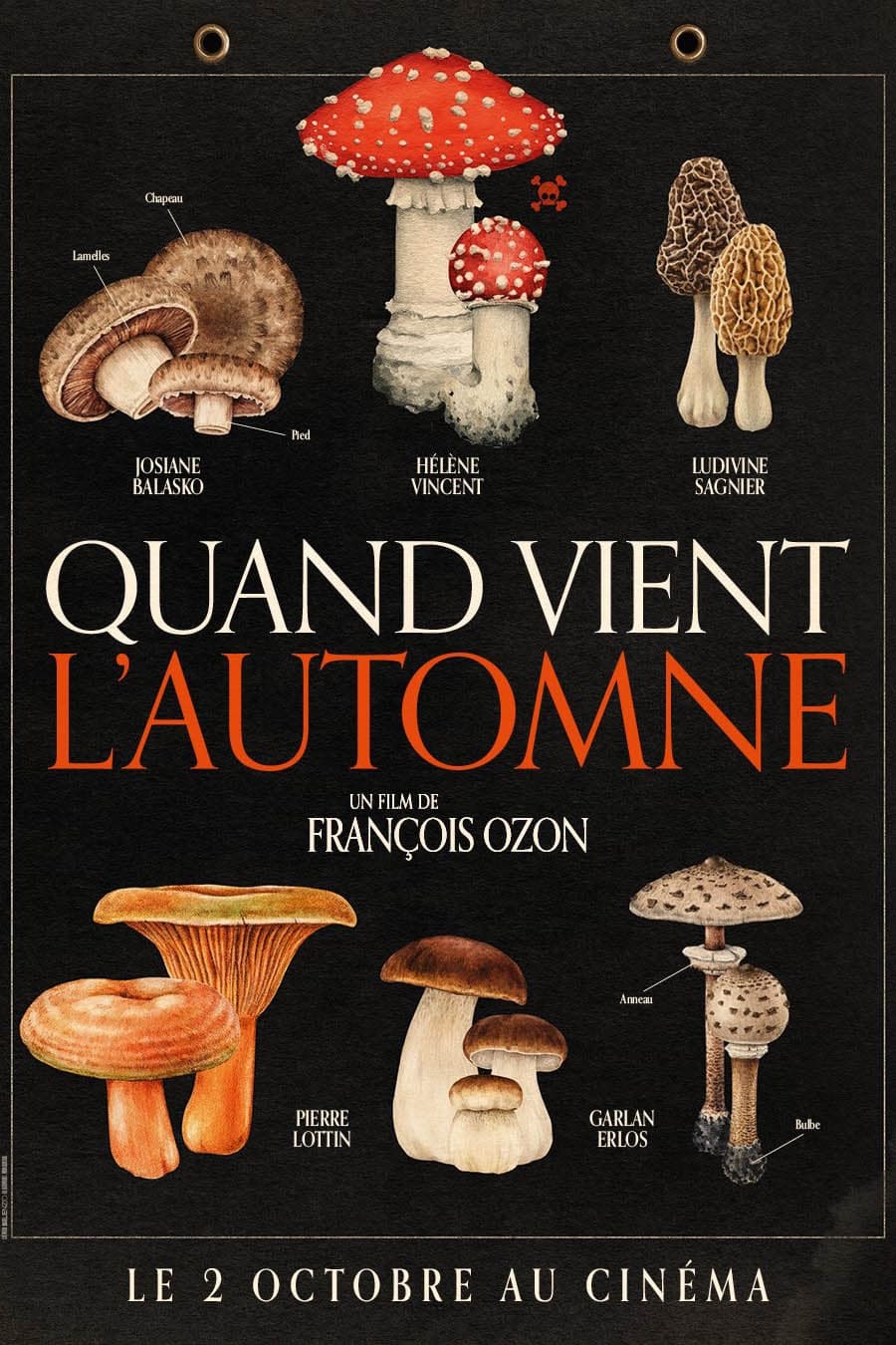 秋日何时来的海报-预告海报