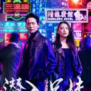 潜入兄妹 特殊诈欺特命搜查官