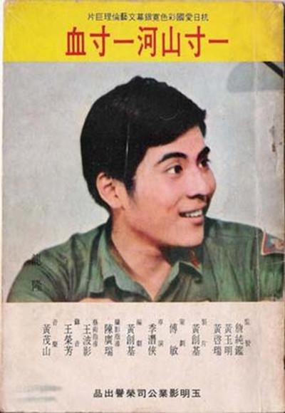 一寸山河一寸血的海报-正式海报