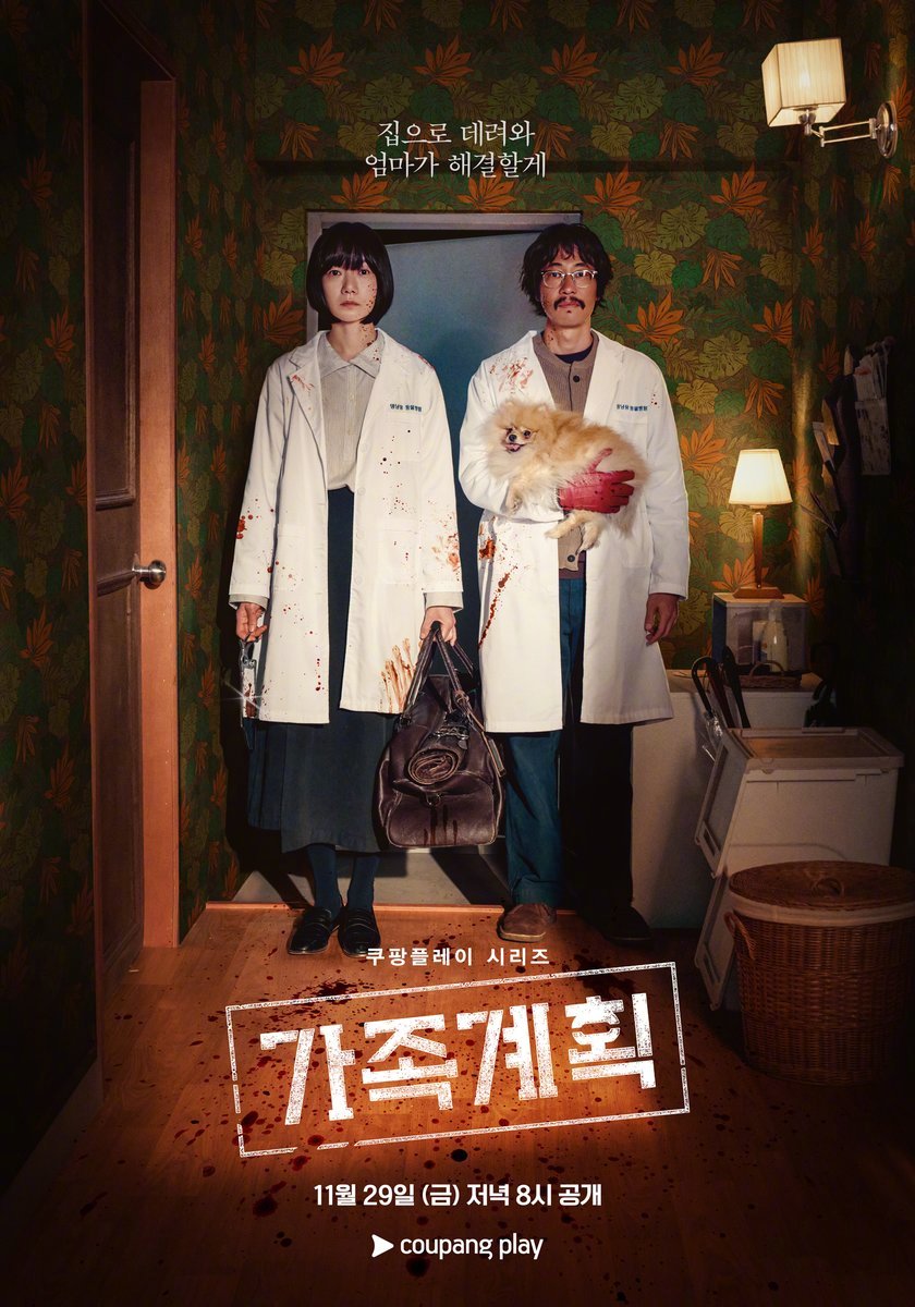 家族计划的海报-正式海报