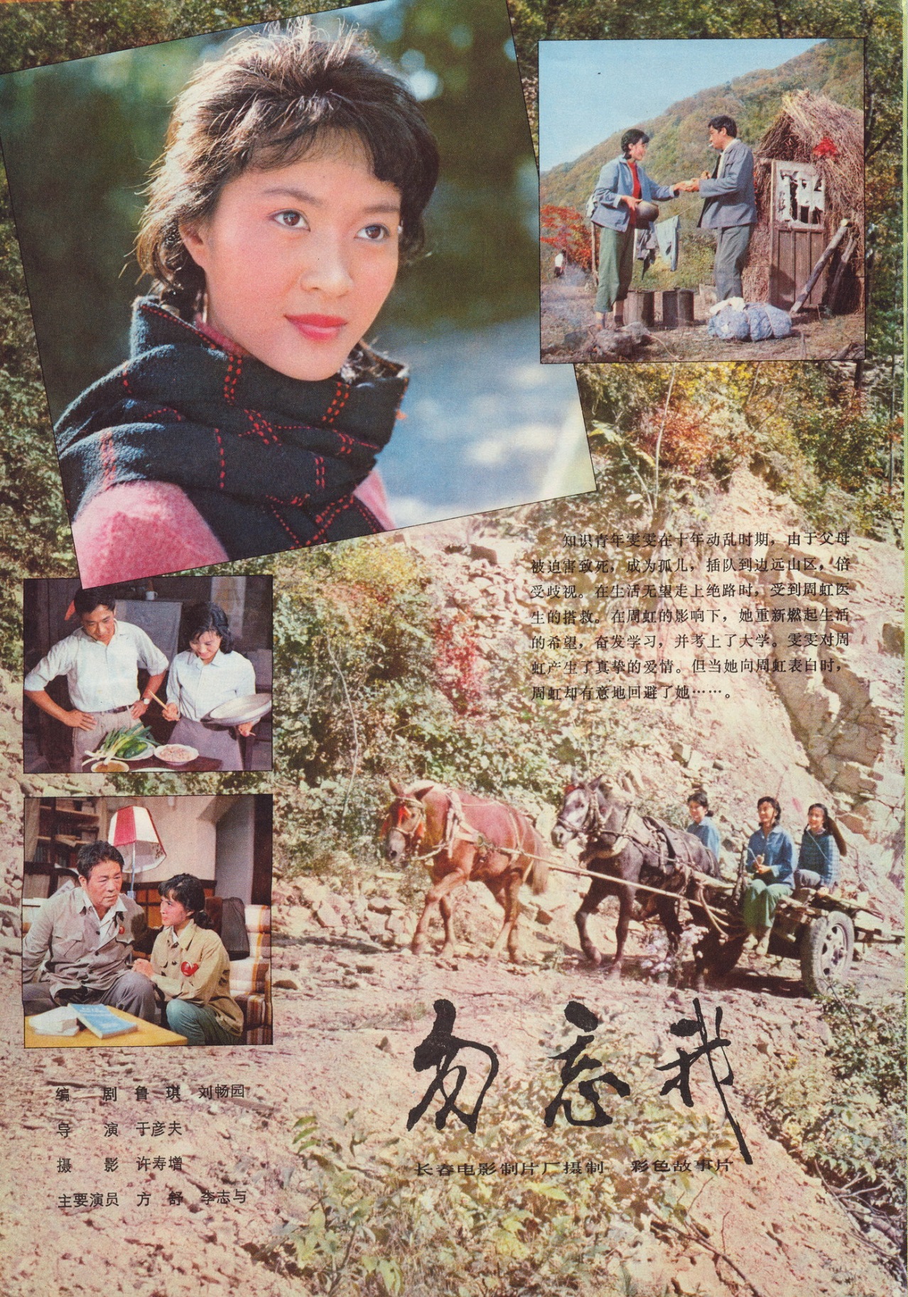 勿忘我的海报-其他海报