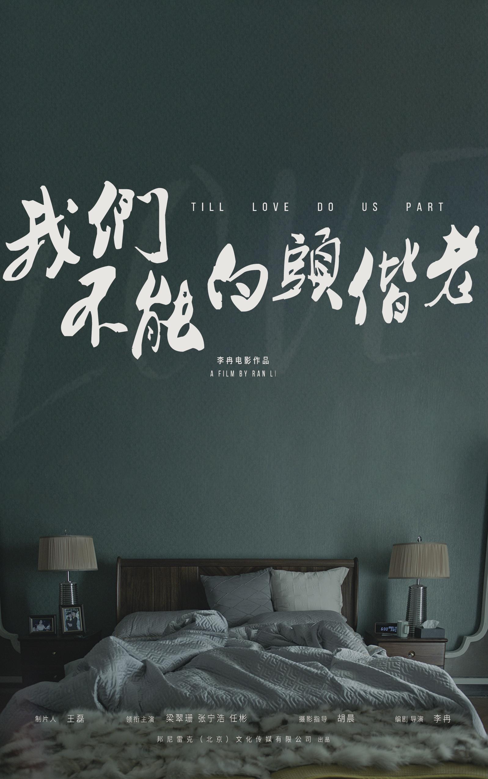 盛极一时的爱情的海报-其他海报