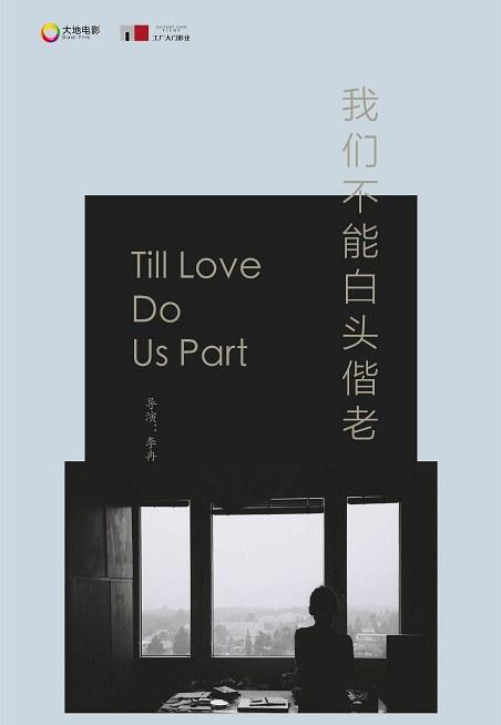 盛极一时的爱情的海报-其他海报