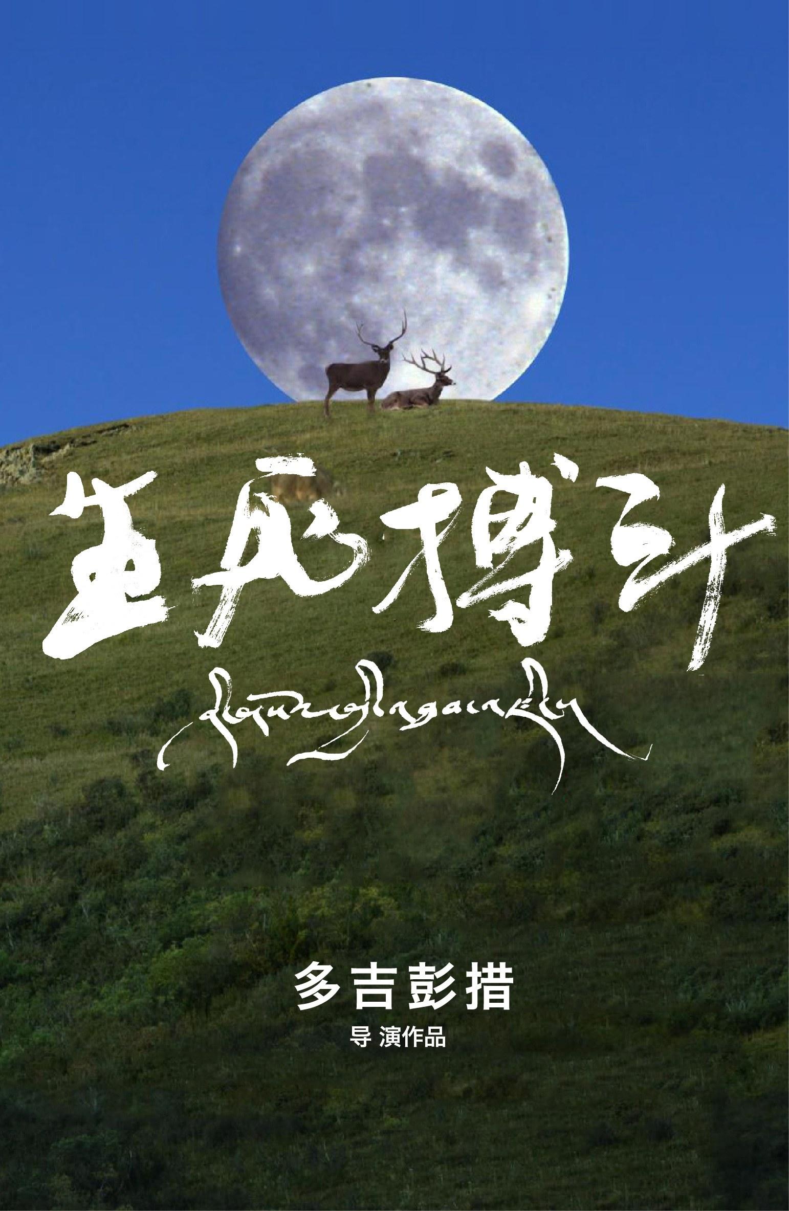 生死搏斗的海报-正式海报