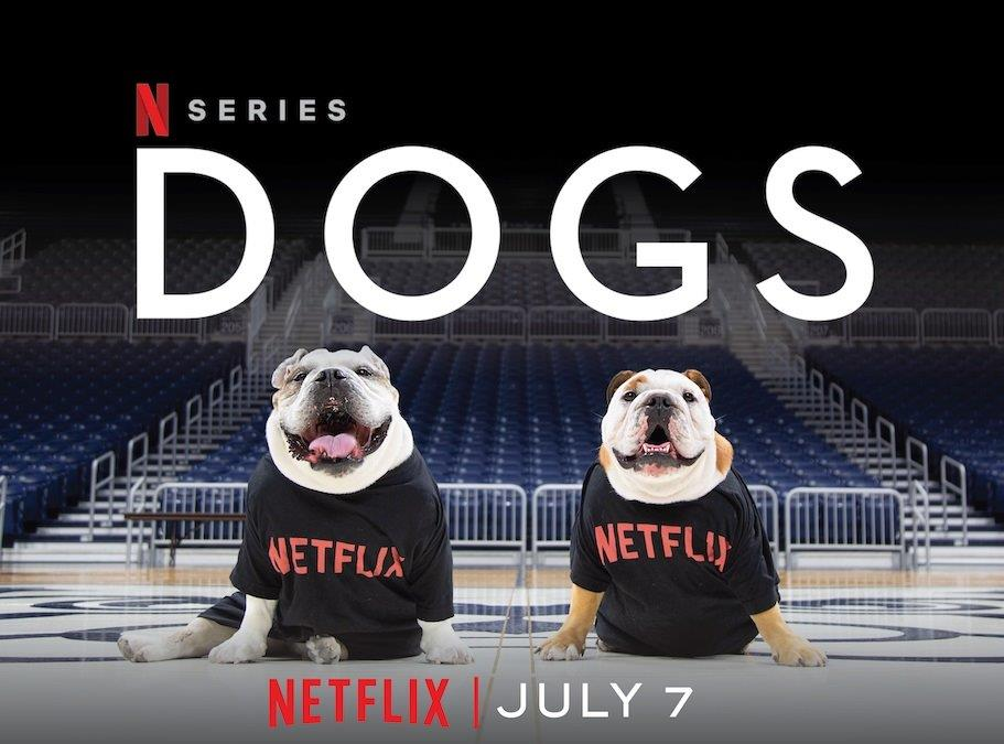 爱犬情深 第二季的海报-正式海报 美国