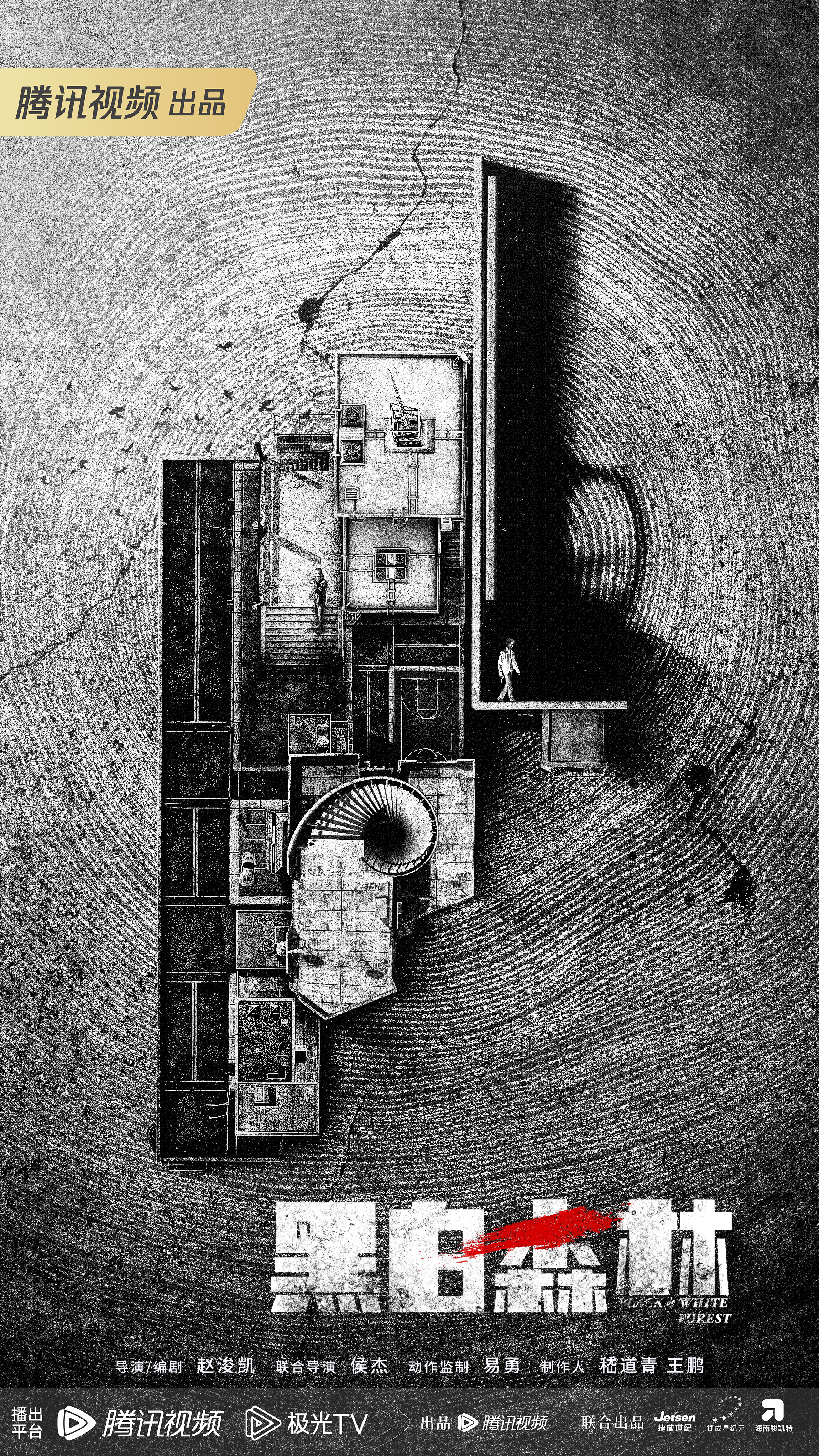 黑白森林的海报-预告海报 中国大陆