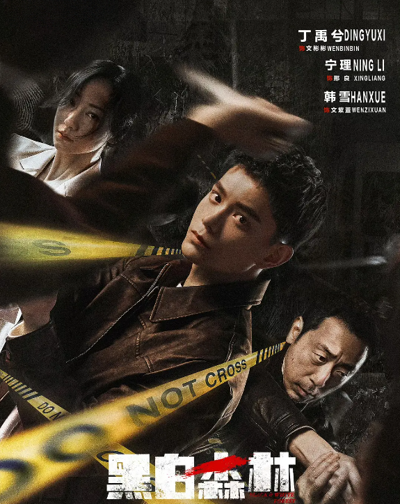 黑白森林的海报-其他海报 中国大陆