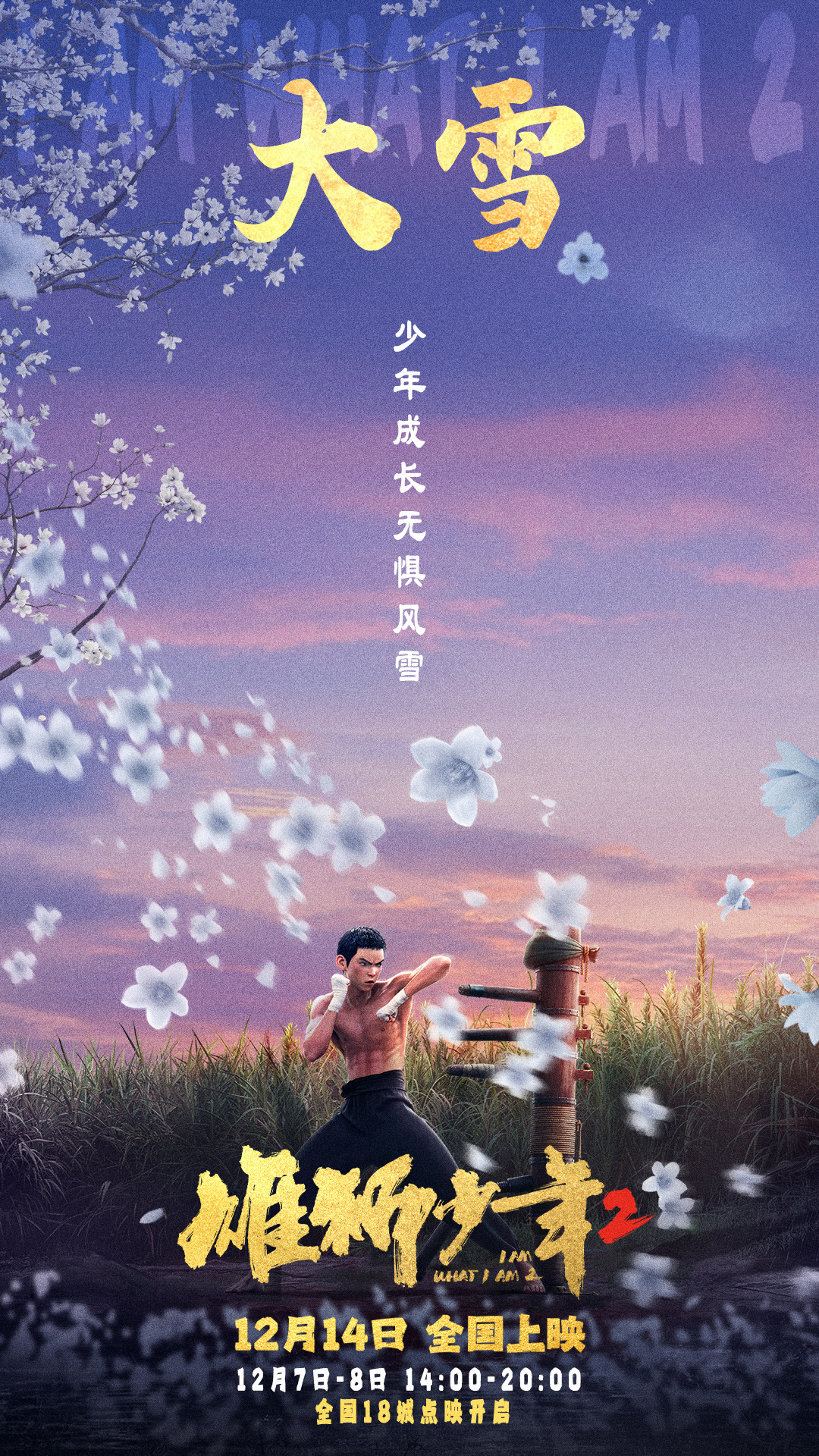 雄狮少年2的海报-正式海报