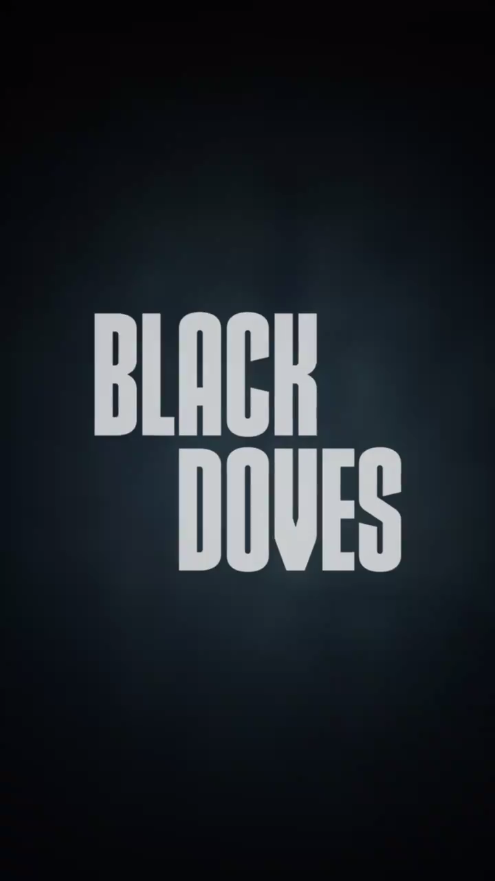 黑鸽 第一季的海报-预告海报 英国