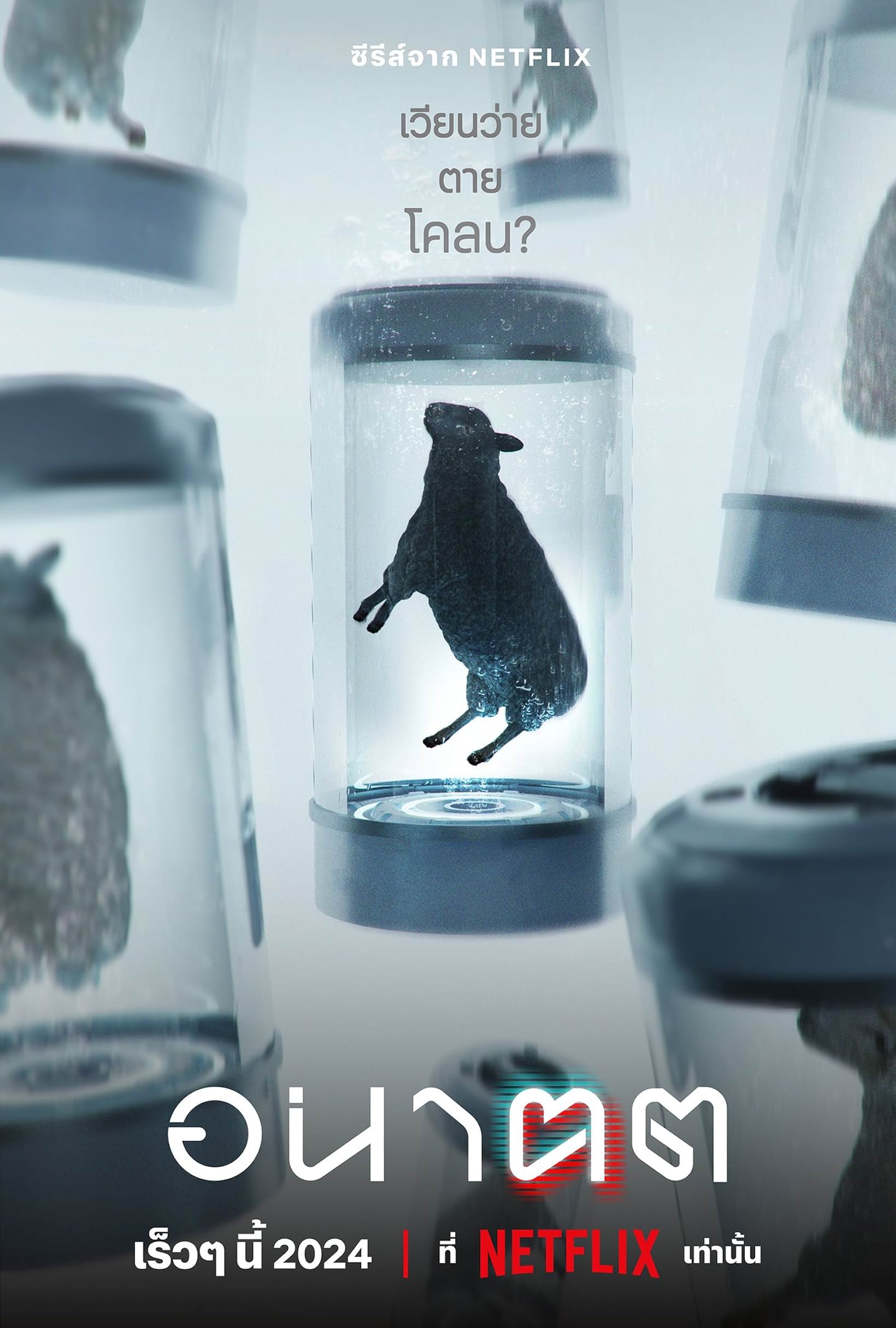 未来与我的海报-正式海报