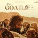 山羊生活