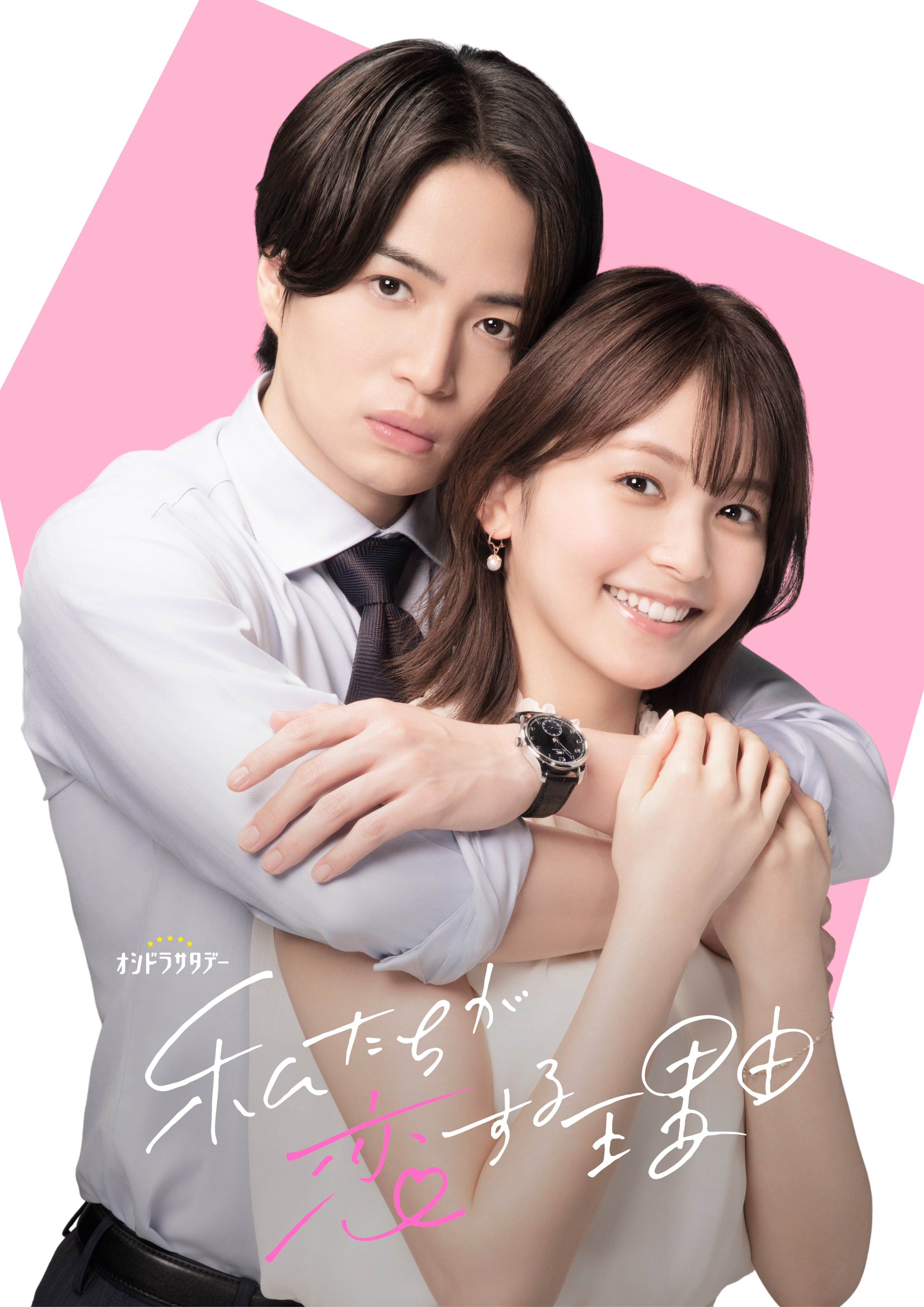 我们陷入恋爱的理由的海报-预告海报