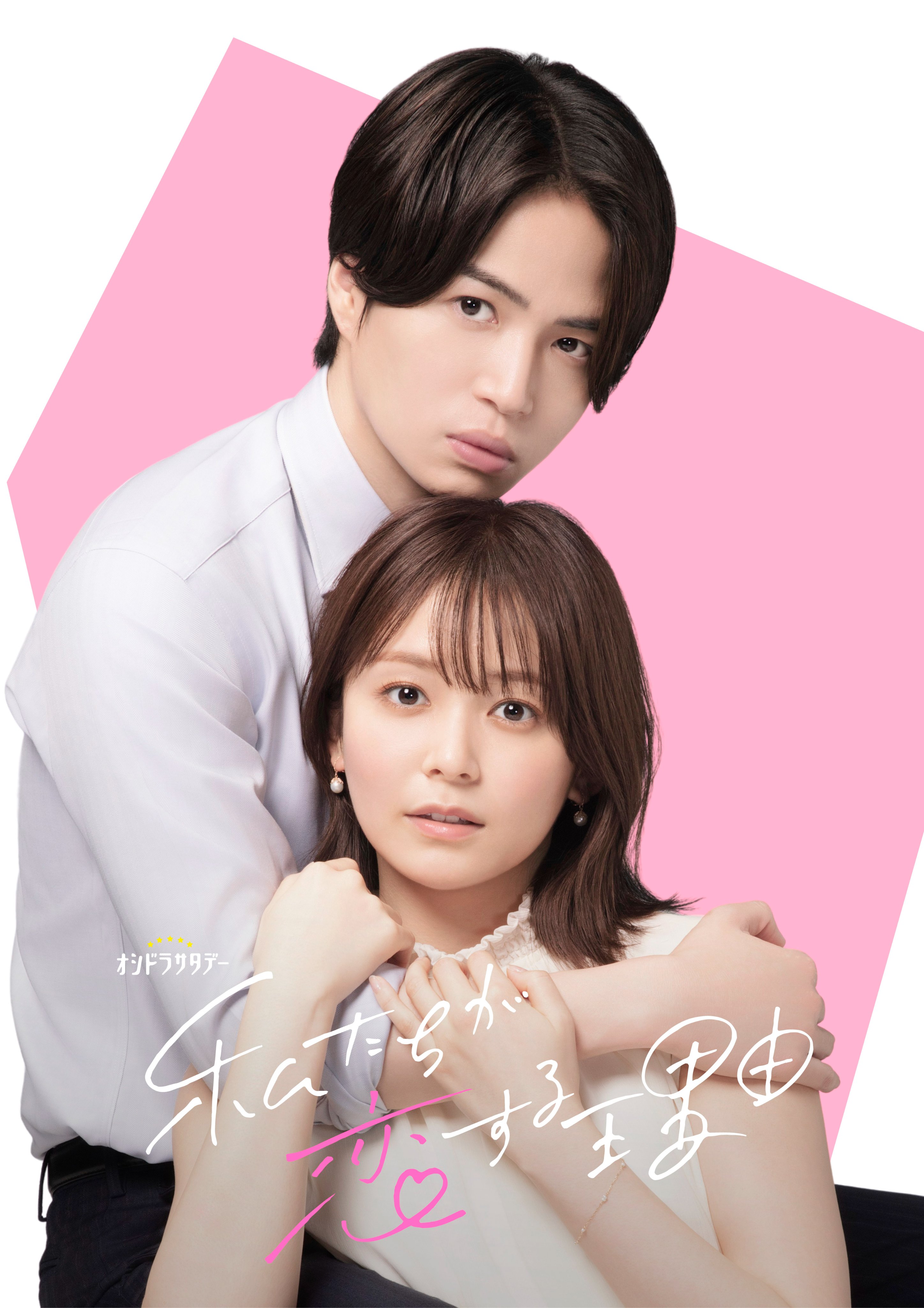 我们陷入恋爱的理由的海报-预告海报