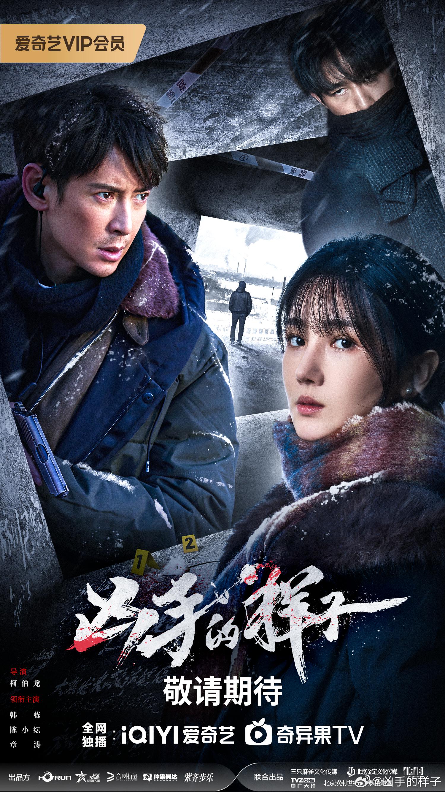 凶手的样子的海报-正式海报