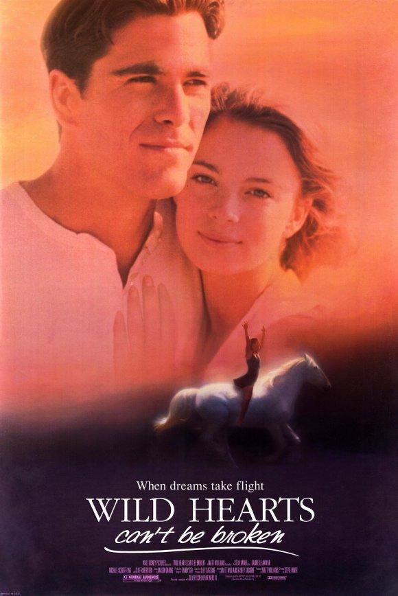 跃马英雄的海报-正式海报 美国