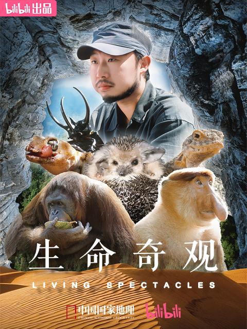 生命奇观的海报-正式海报