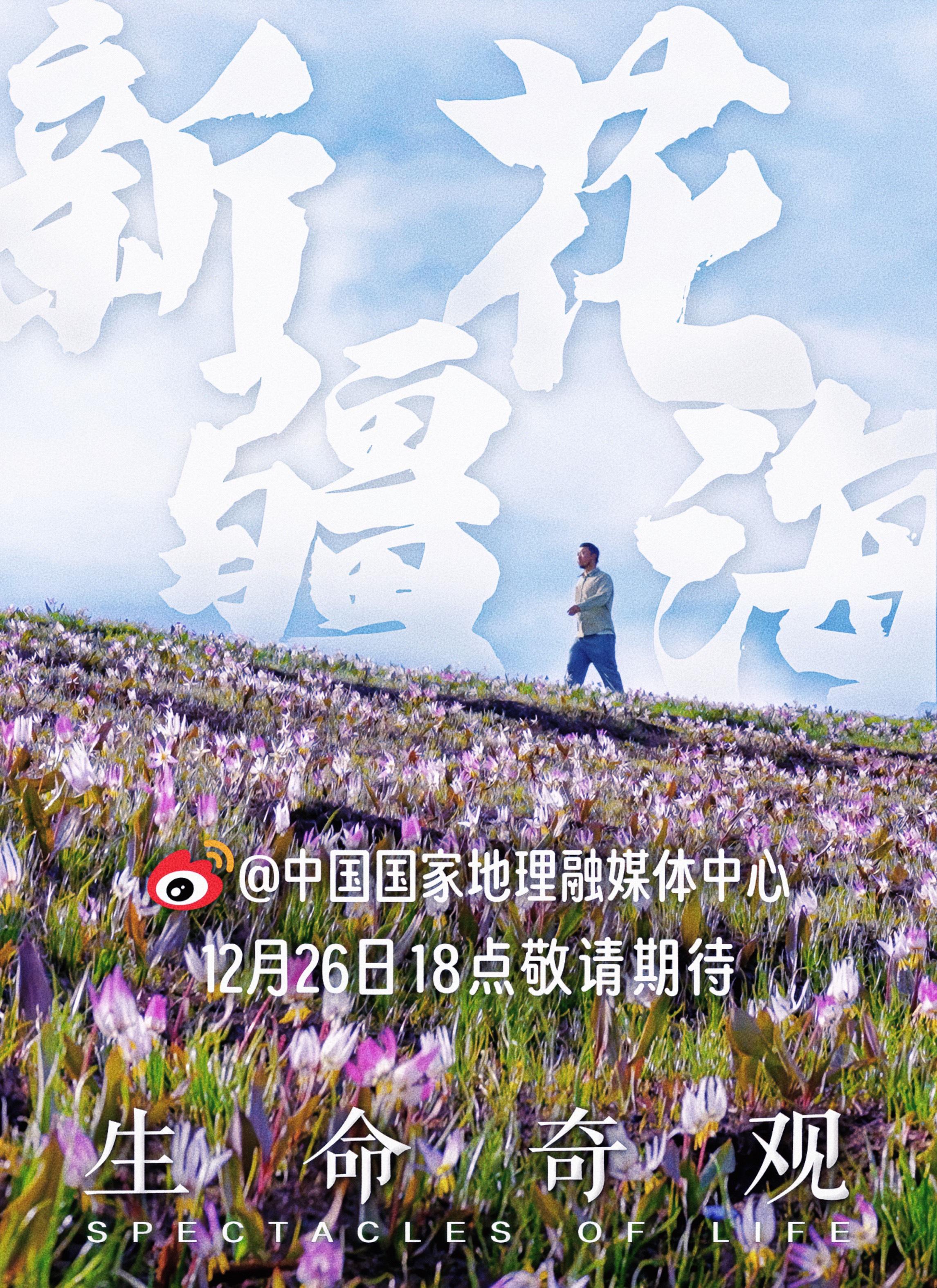 生命奇观的海报-正式海报