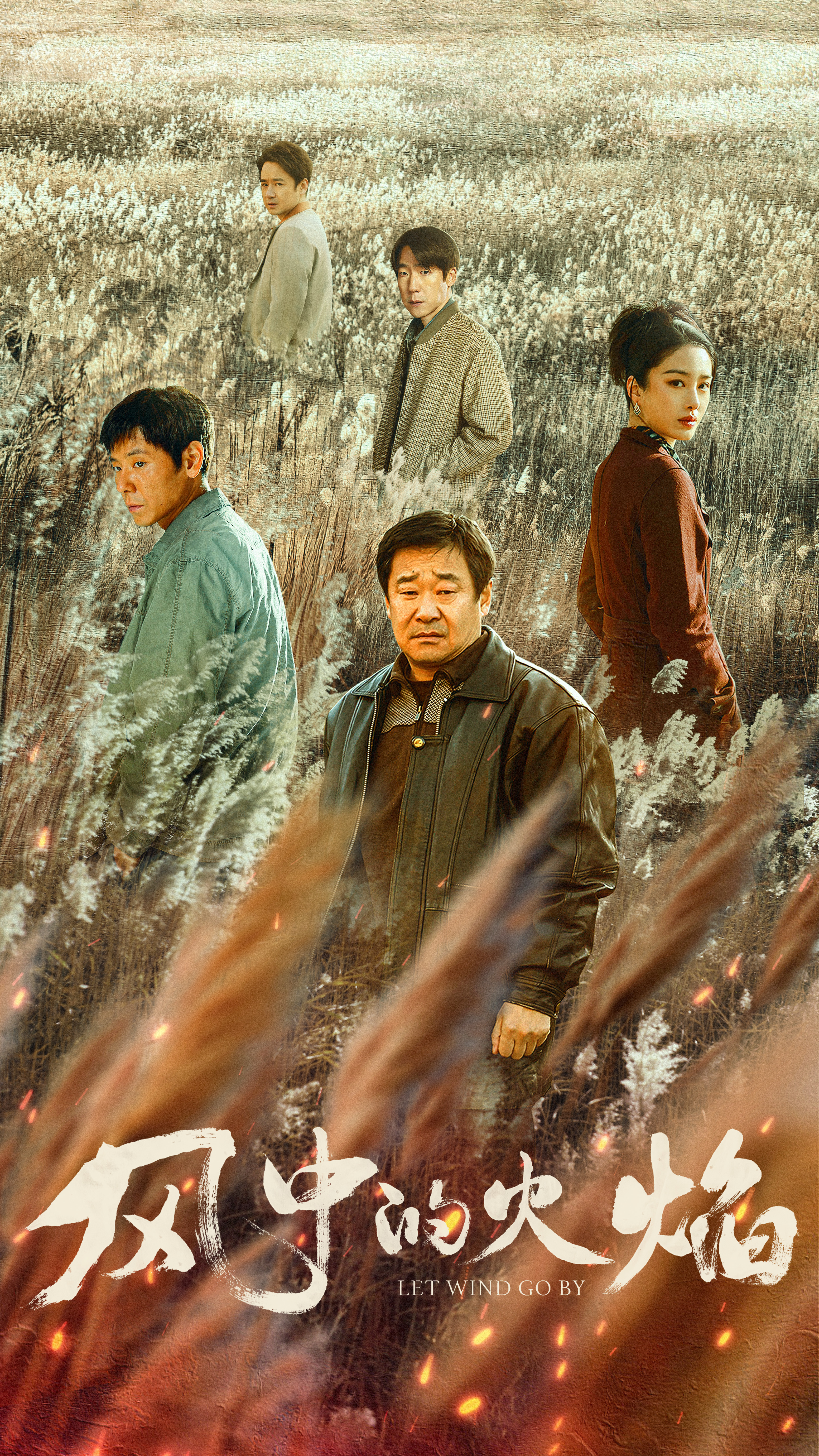 风中的火焰的海报-预告海报 中国大陆