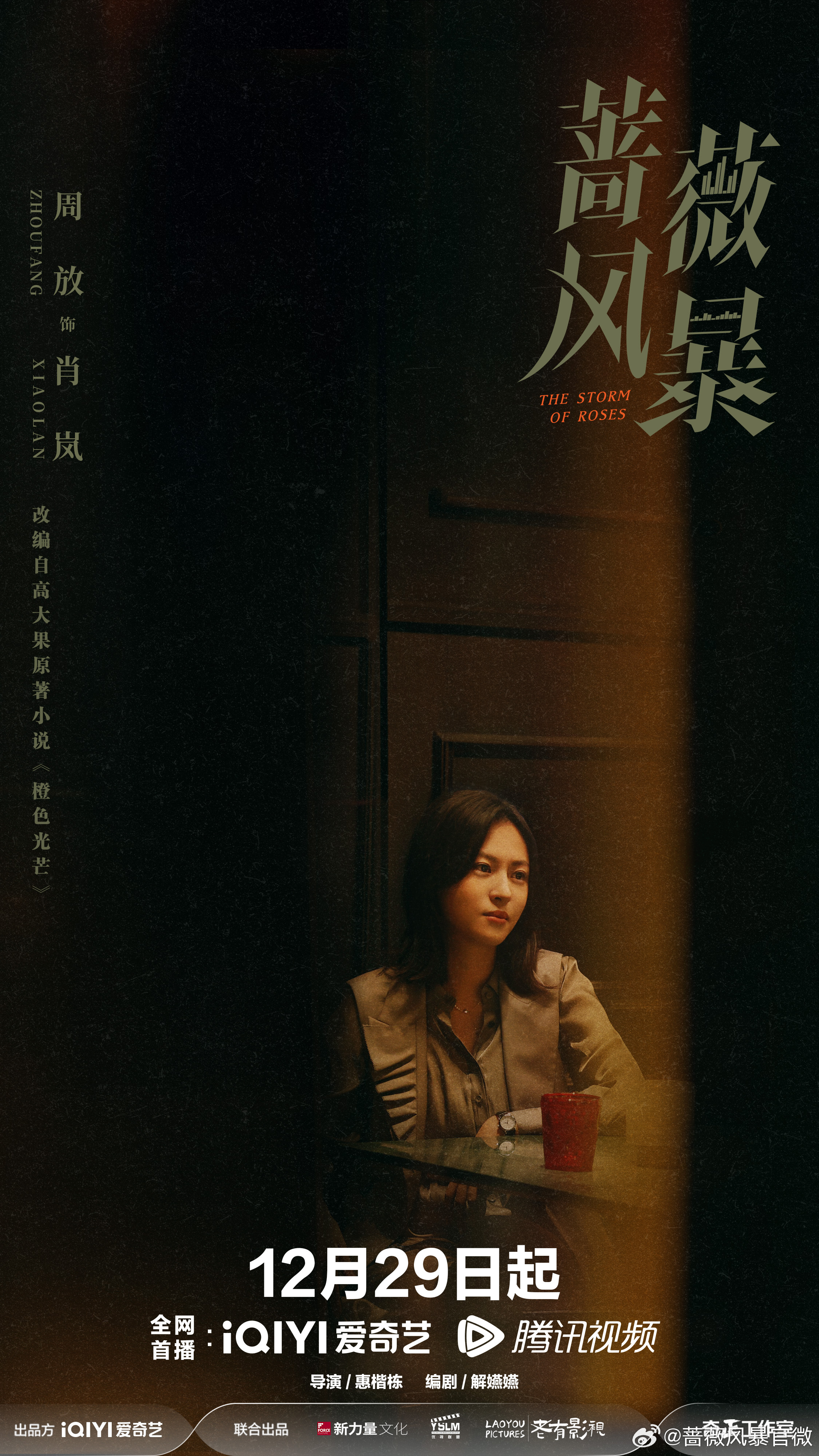 蔷薇风暴的海报-角色海报