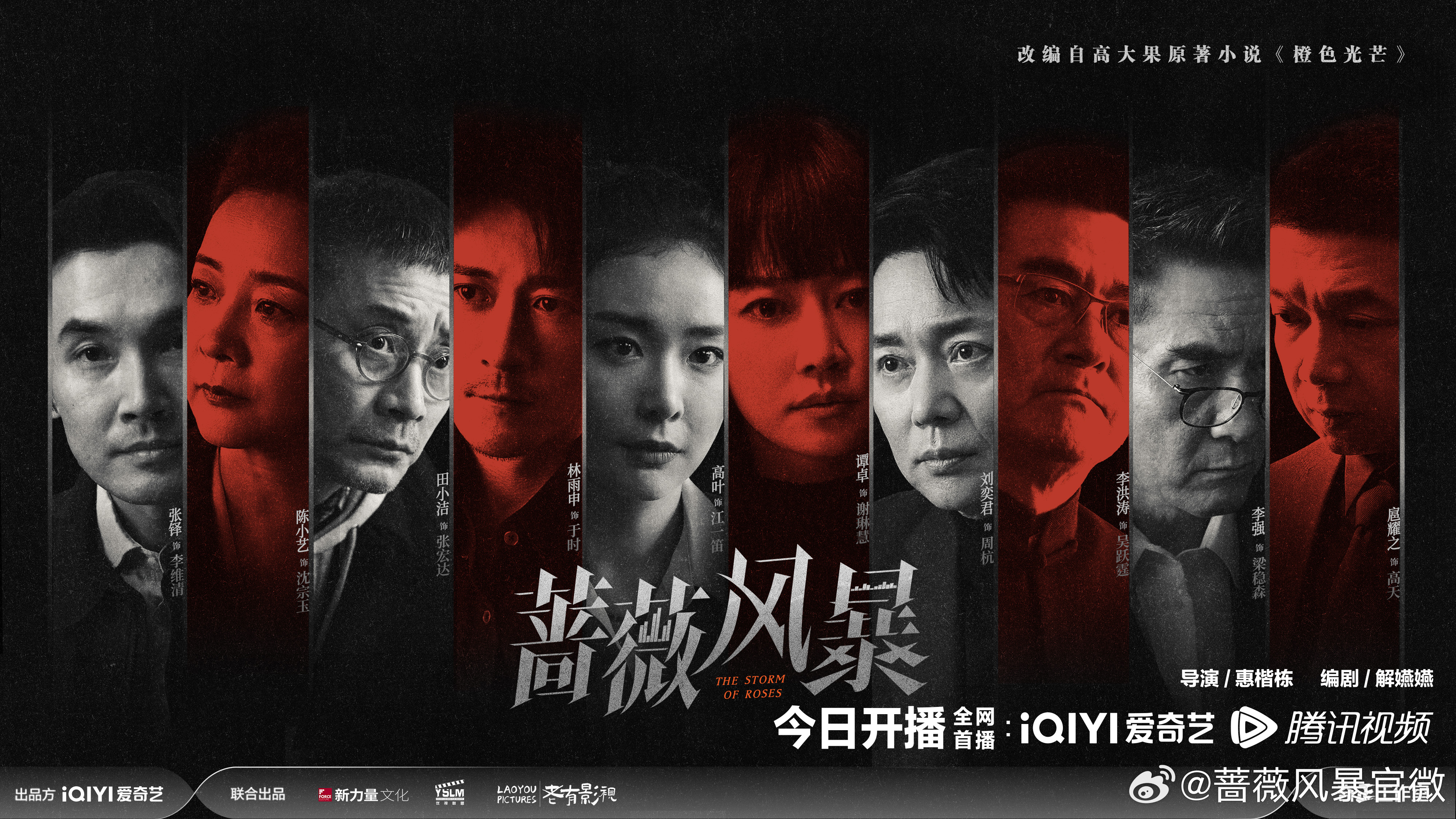 蔷薇风暴的海报-正式海报