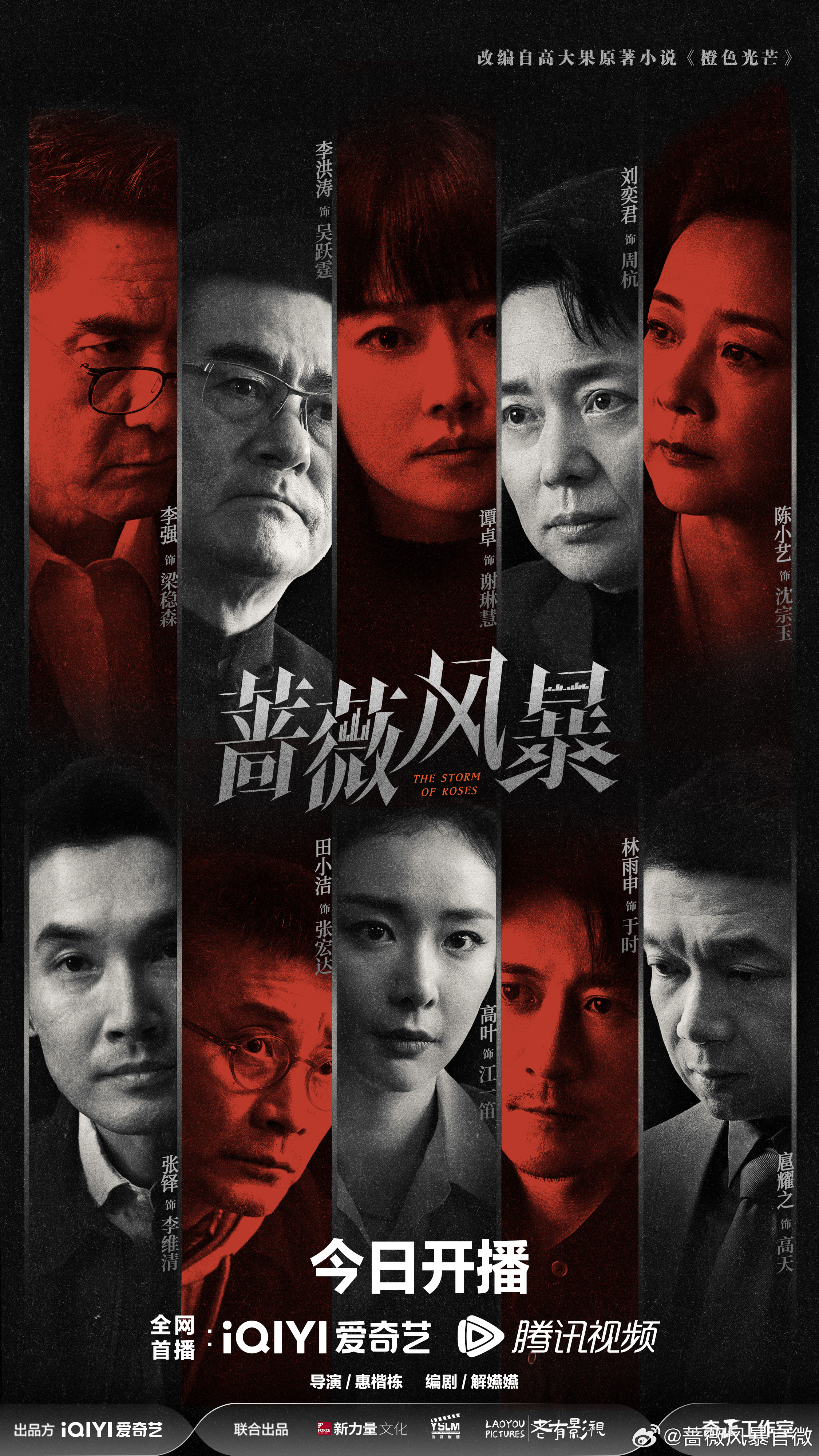 蔷薇风暴的海报-正式海报