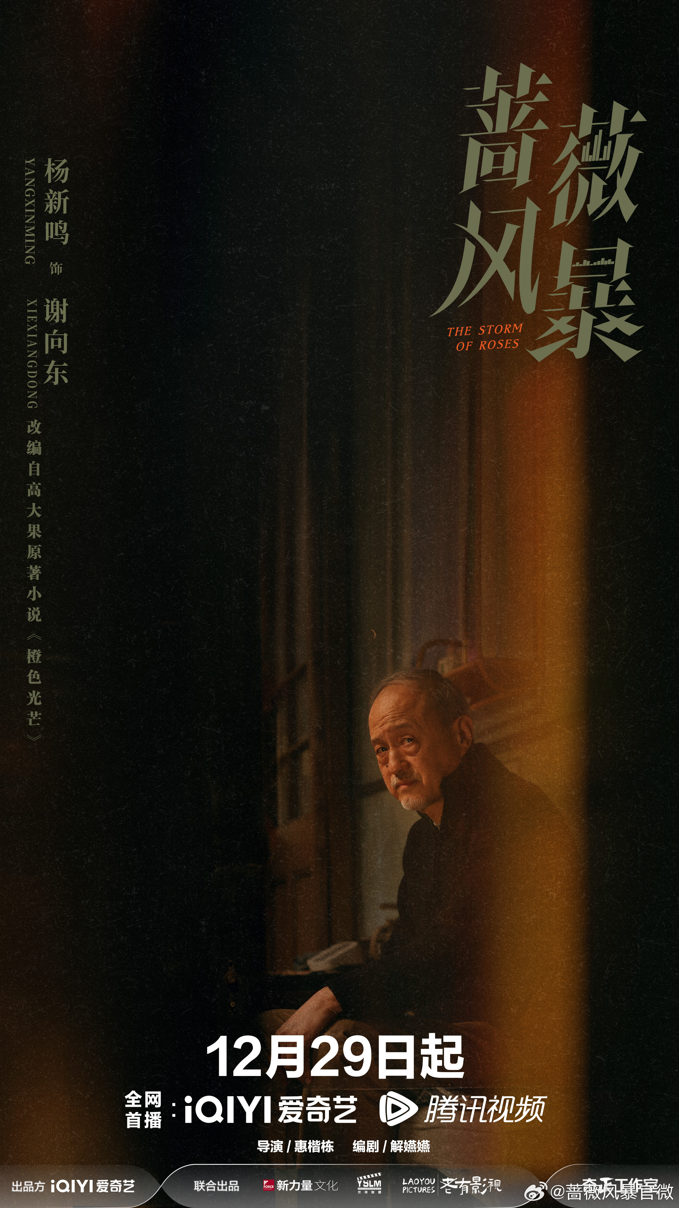 蔷薇风暴的海报-角色海报