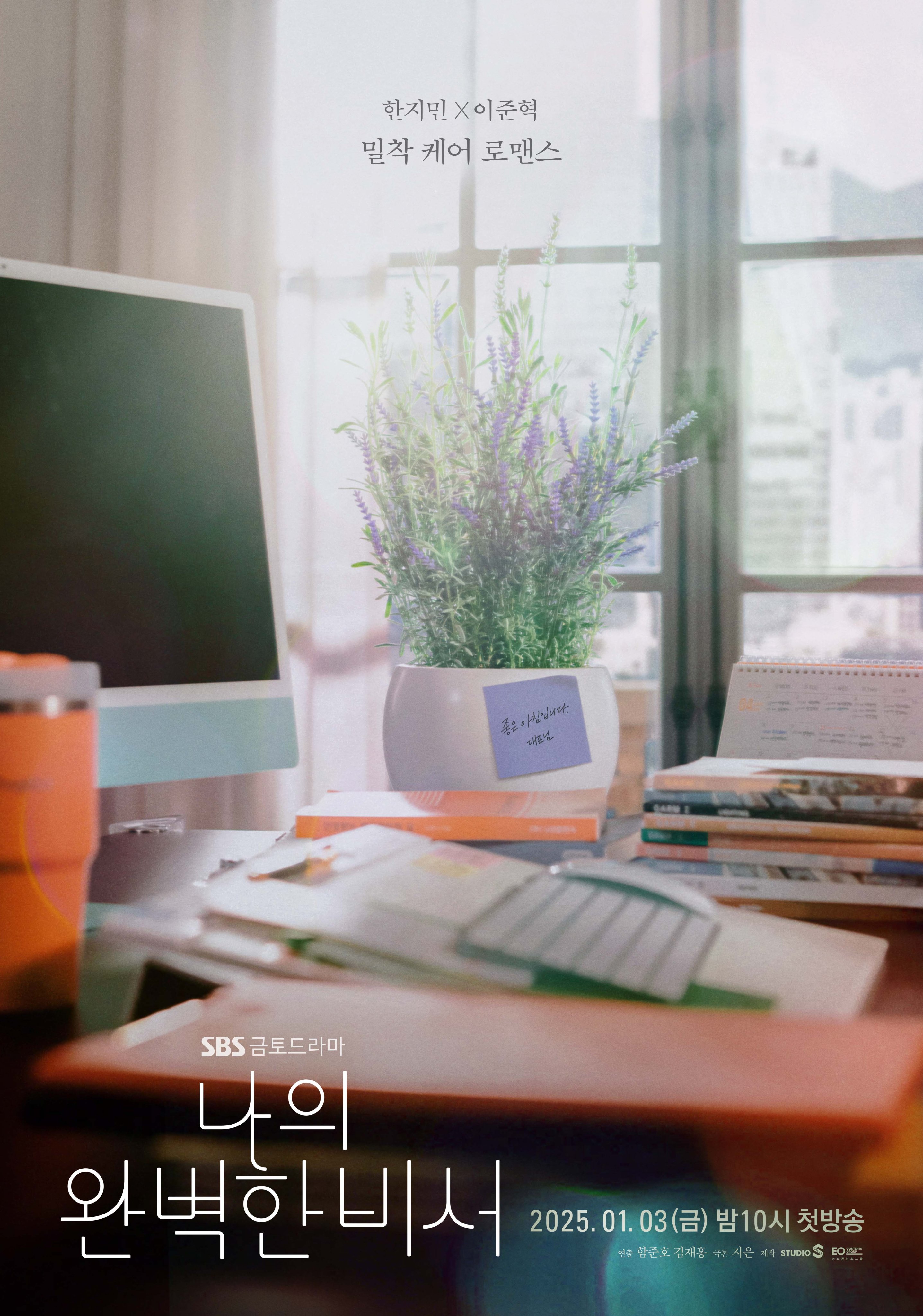 我的完美秘书的海报-正式海报