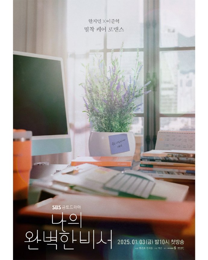 我的完美秘书的海报-正式海报 韩国