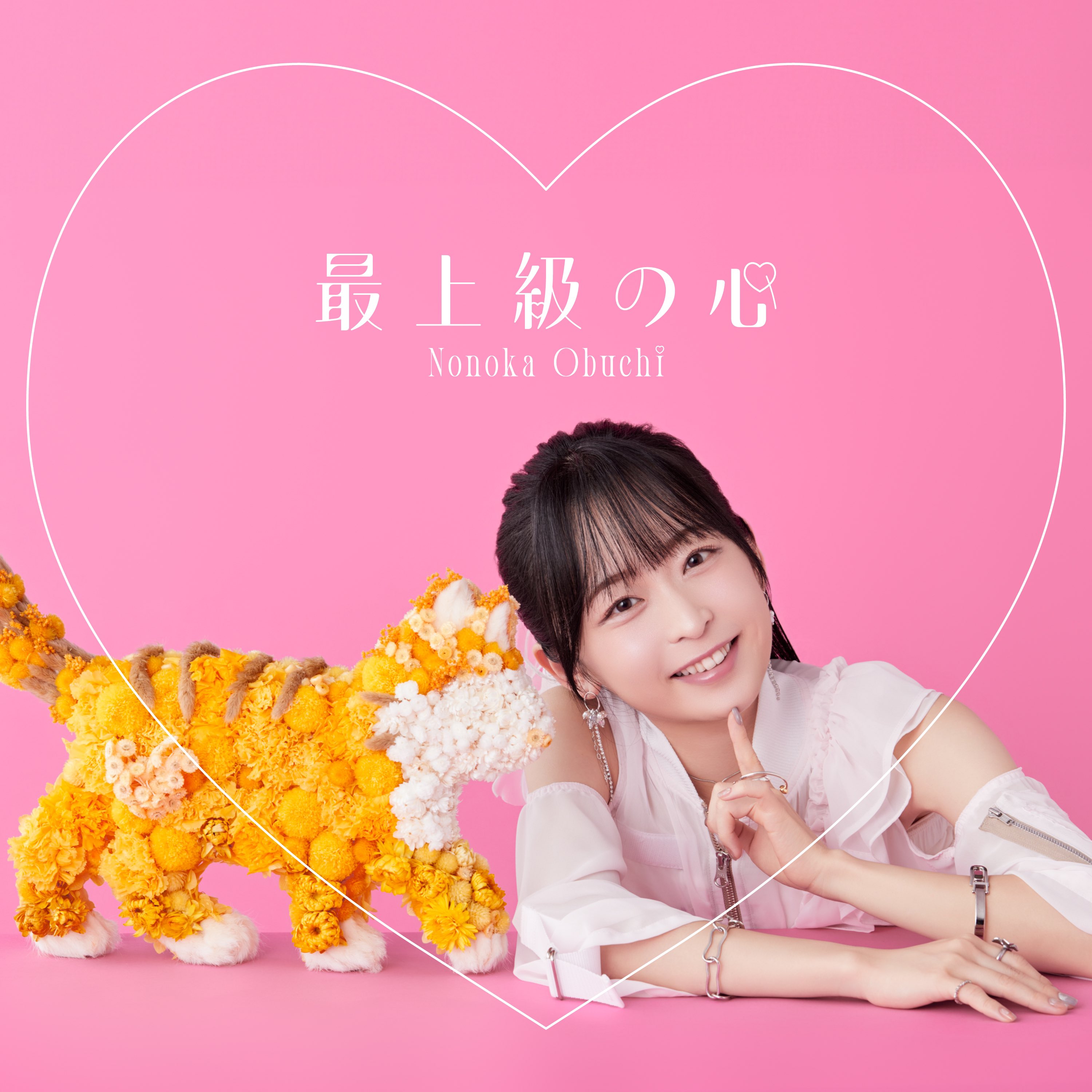 S级怪兽《贝希摩斯》被误认成小猫，成为精灵女孩的骑士(宠物)一起生活的海报-其他海报