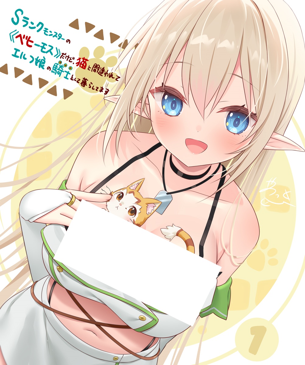 S级怪兽《贝希摩斯》被误认成小猫，成为精灵女孩的骑士(宠物)一起生活的海报-其他海报