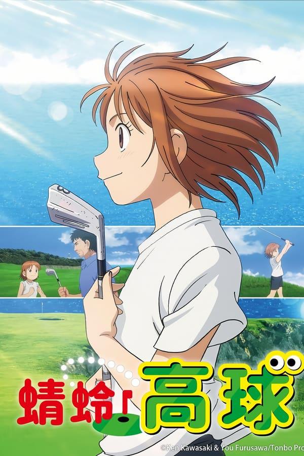 喂！蜻蜓的海报-正式海报