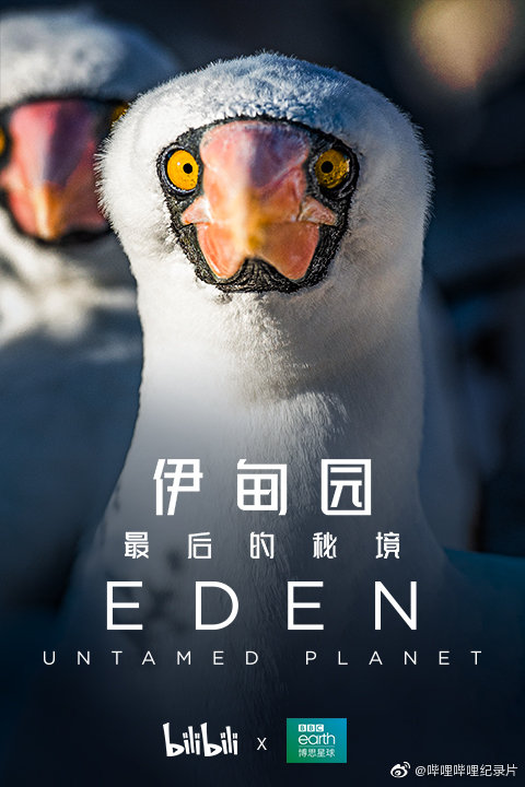 伊甸园：最后的秘境的海报-角色海报 中国大陆