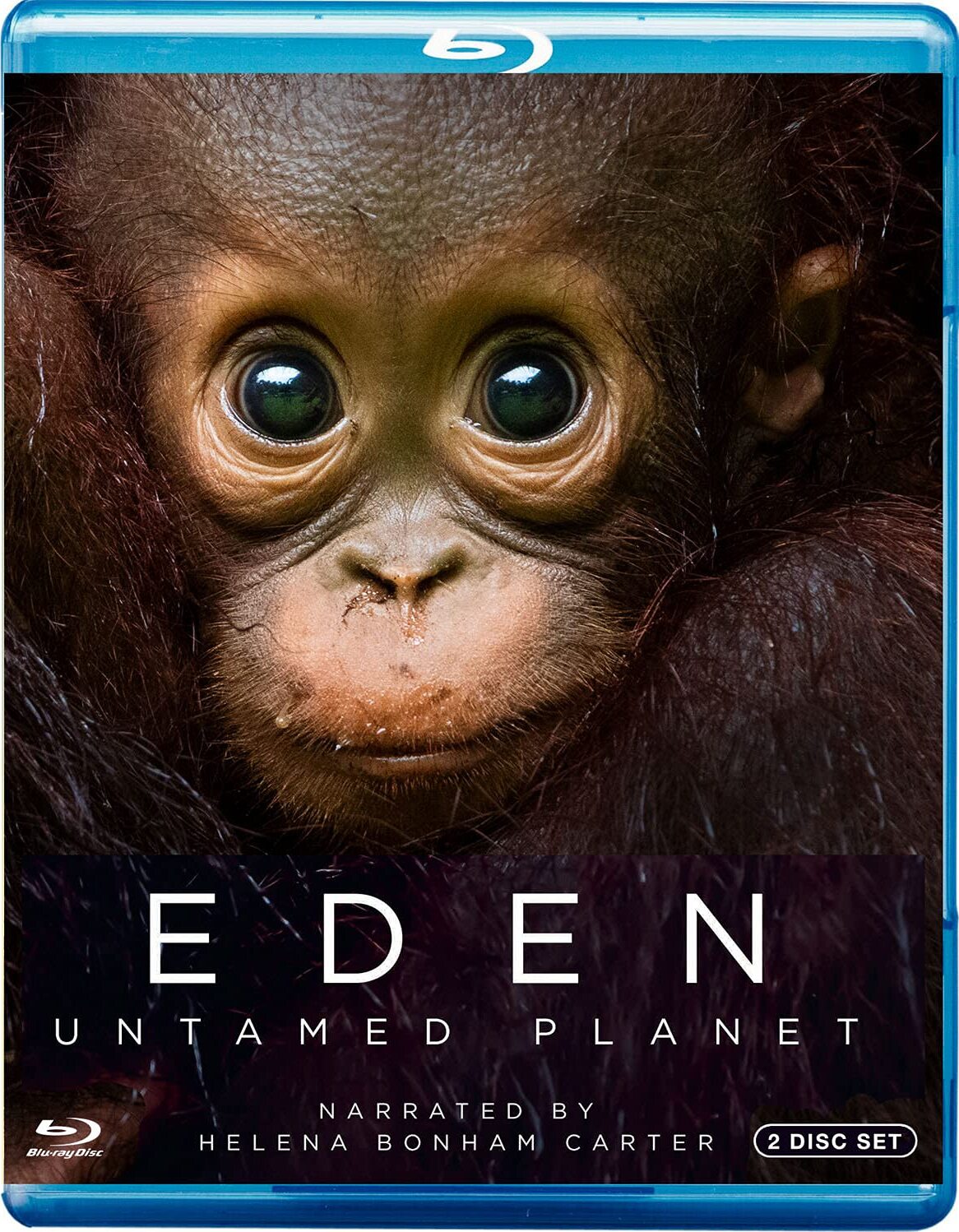 伊甸园：最后的秘境的海报-其他海报 美国